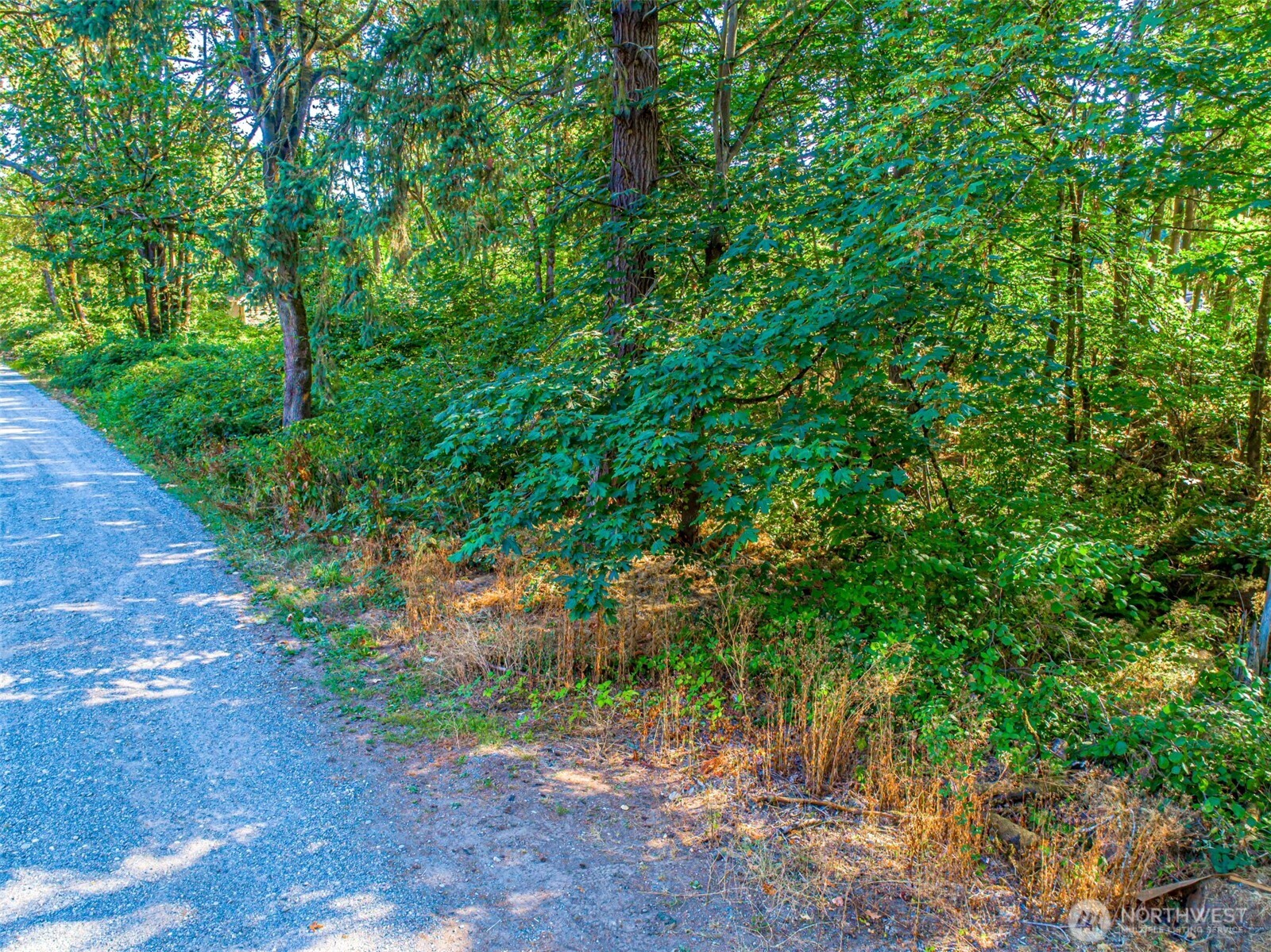 36922 6th Avenue Southwest Federal Way, WA 98023 - Photo 7 of 12 a backyard of a house with lots of green space