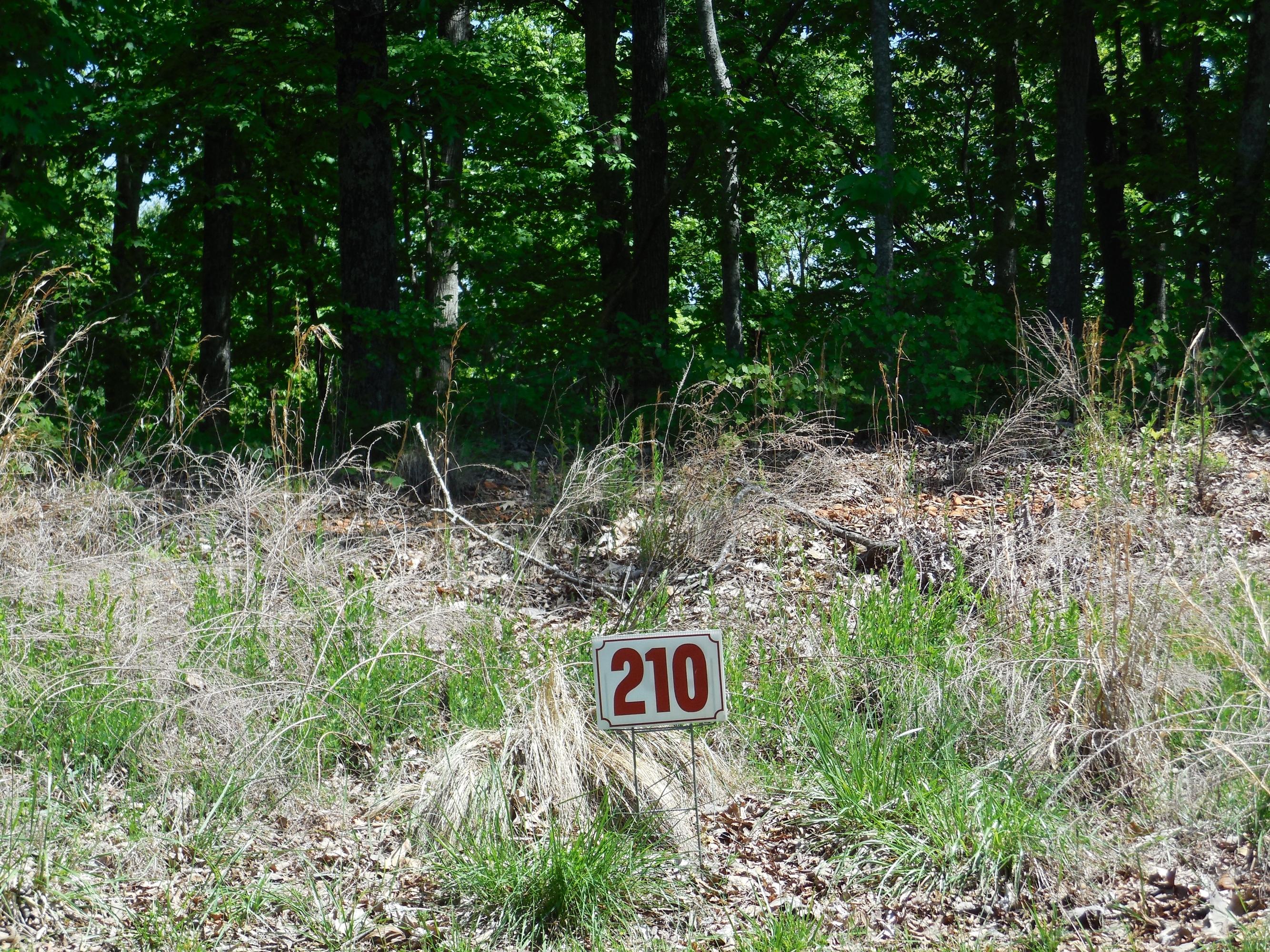 Lot 210