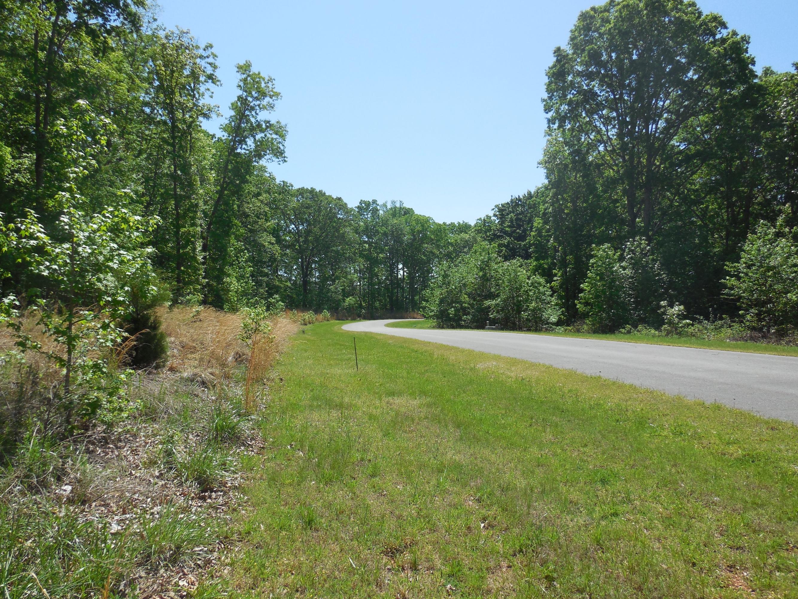 Reuben Ridge Rockwood, TN 37854 - Photo 3 of 30 View from the Front of Lot