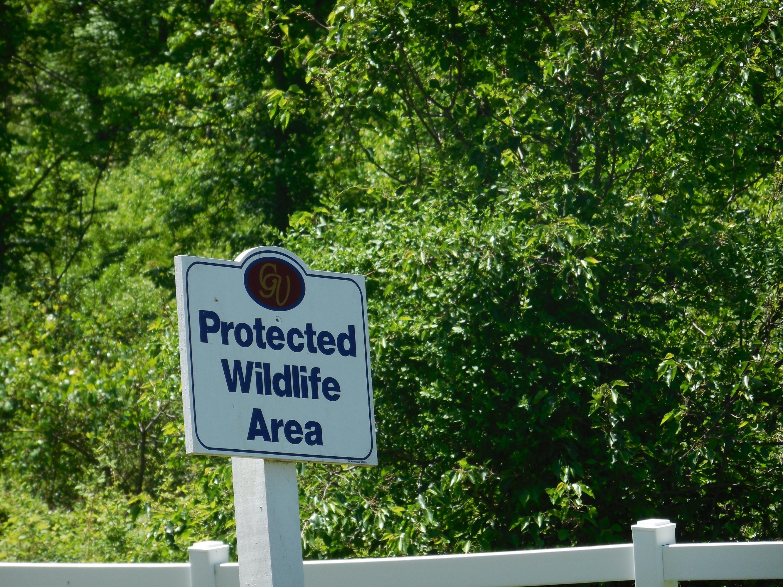 Reuben Ridge Rockwood, TN 37854 - Photo 22 of 30 Wildlife to Enjoy