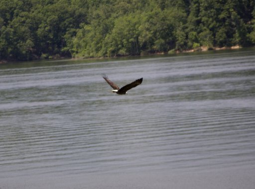 Reuben Ridge Rockwood, TN 37854 - Photo 23 of 30 Additional Photo
