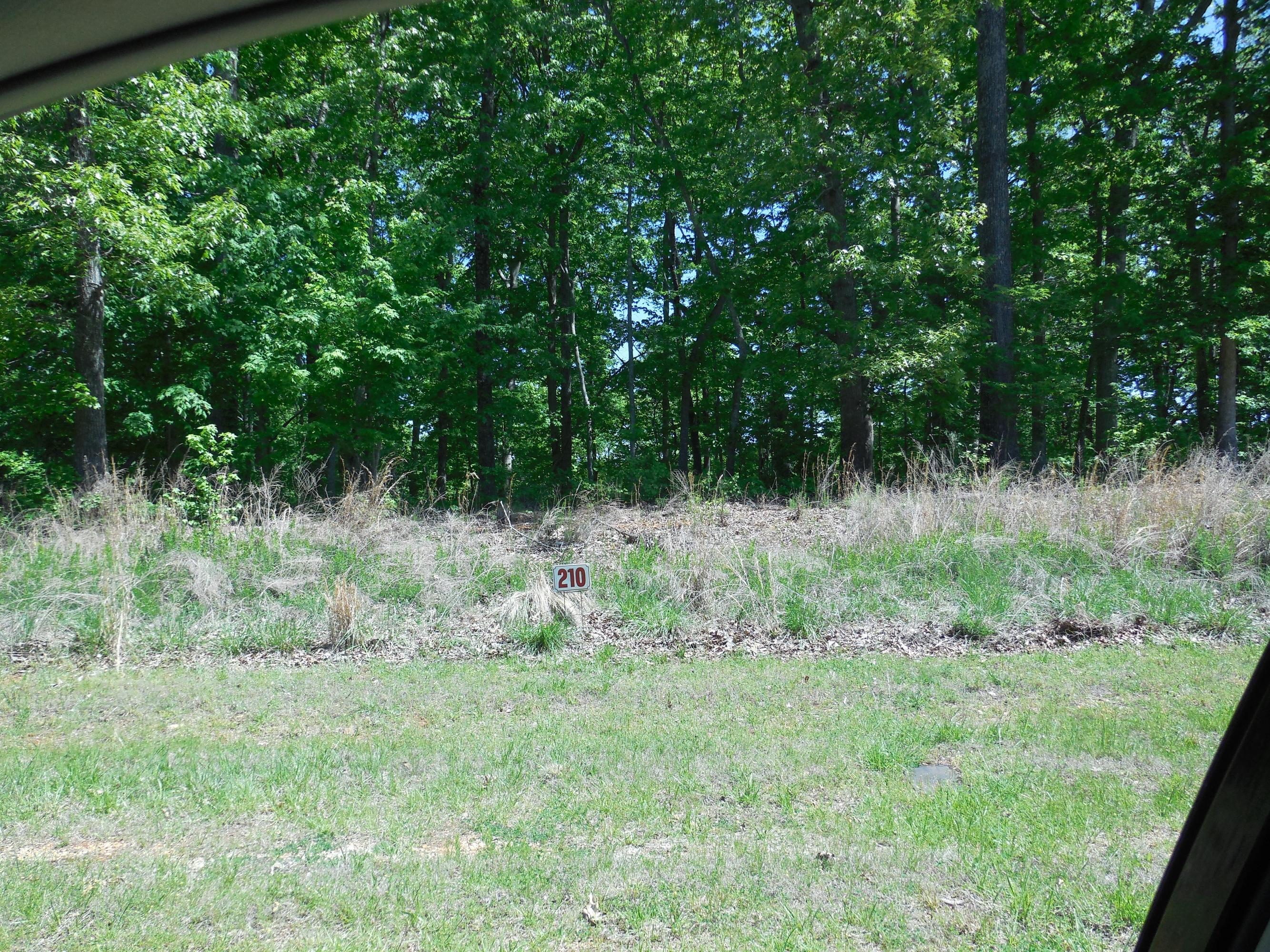 Reuben Ridge Rockwood, TN 37854 - Photo 4 of 30 Level to Rolling Lot