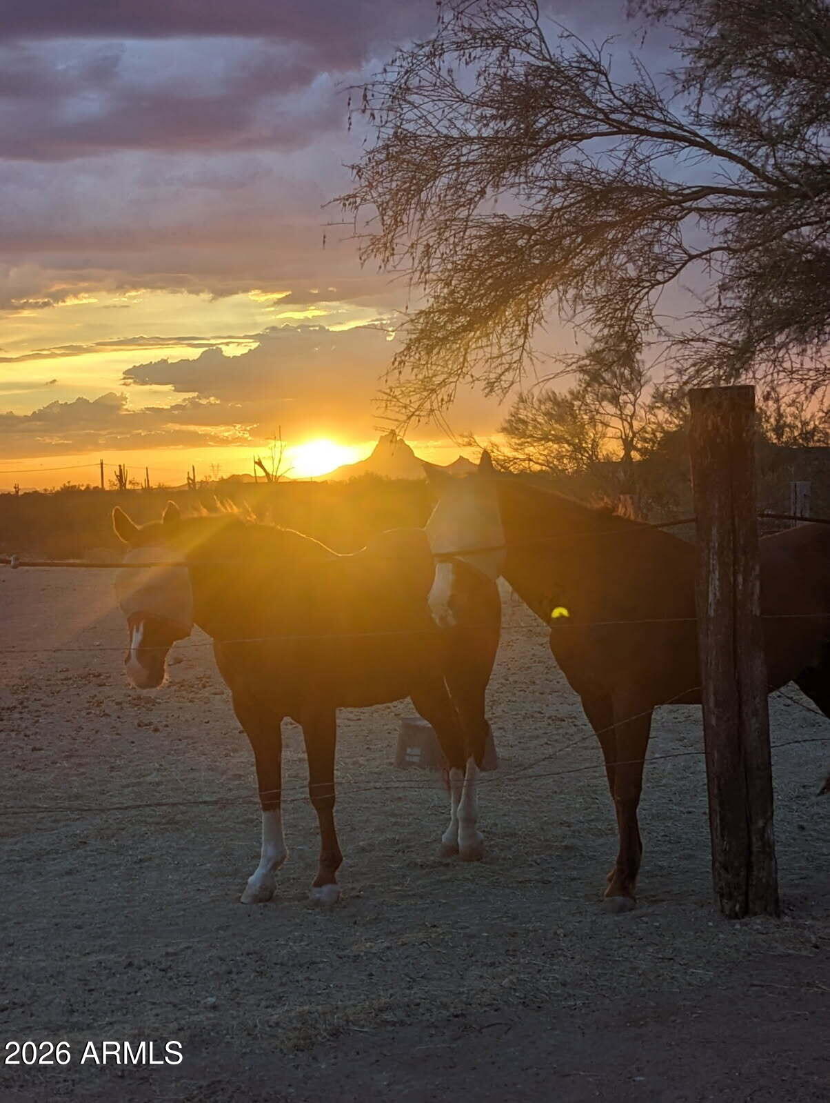 33597 South Davis Ranch Road Marana, AZ 85658 - Photo 39 of 48 a view of a lake from a yard