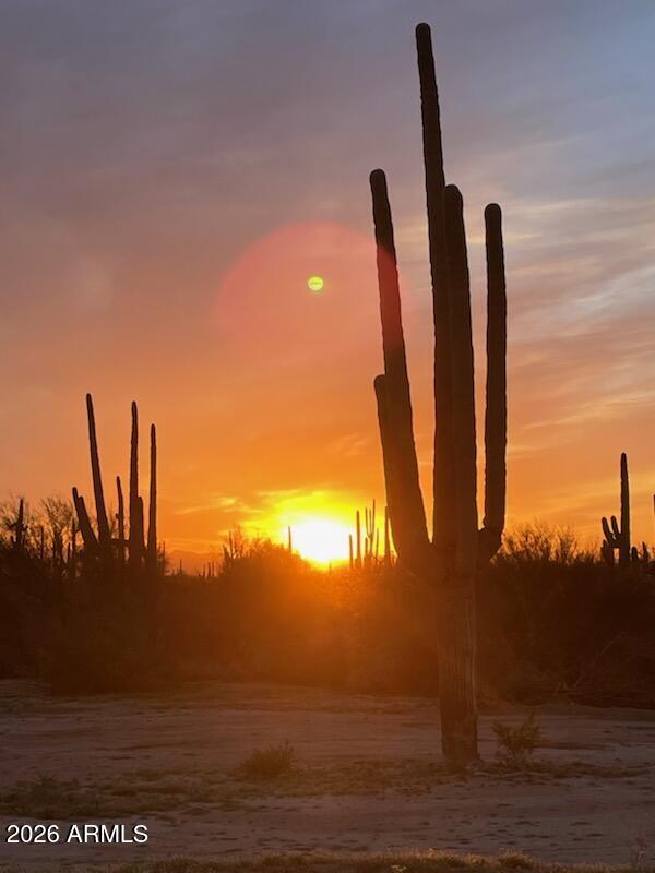 33597 South Davis Ranch Road Marana, AZ 85658 - Photo 40 of 48 a view of a yard