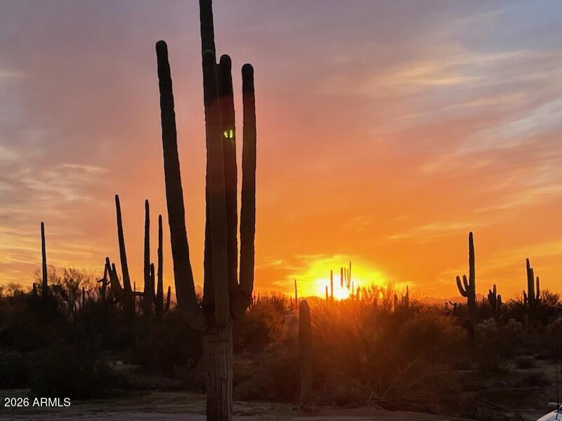 33597 South Davis Ranch Road Marana, AZ 85658 - Photo 41 of 48