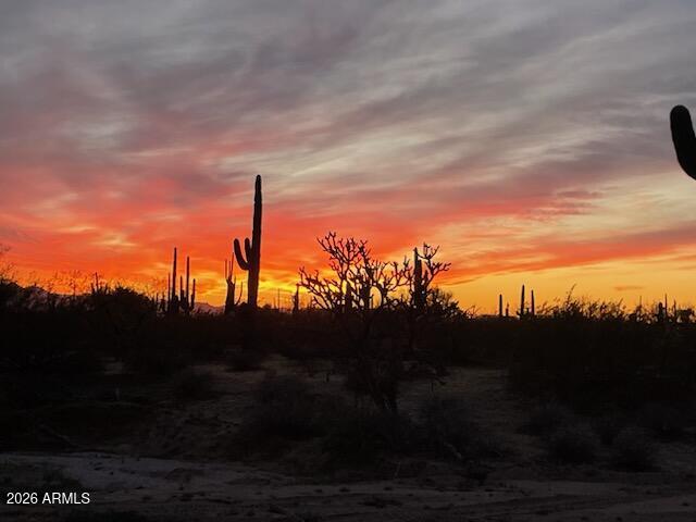 33597 South Davis Ranch Road Marana, AZ 85658 - Photo 46 of 48