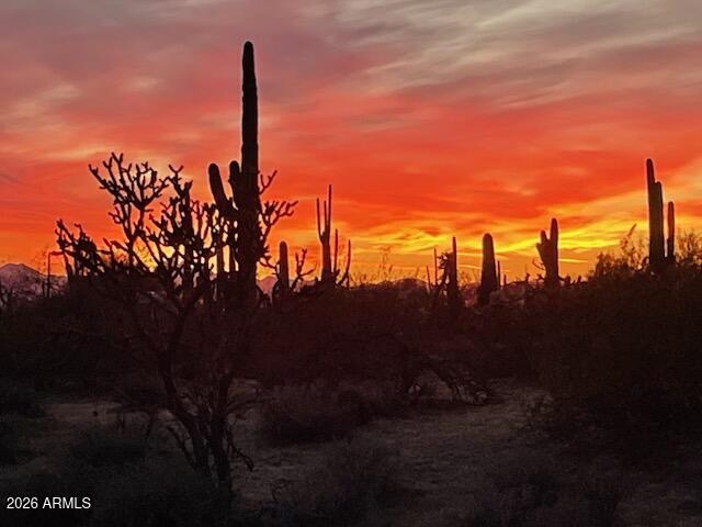 33597 South Davis Ranch Road Marana, AZ 85658 - Photo 48 of 48 a view of a yard with palm trees
