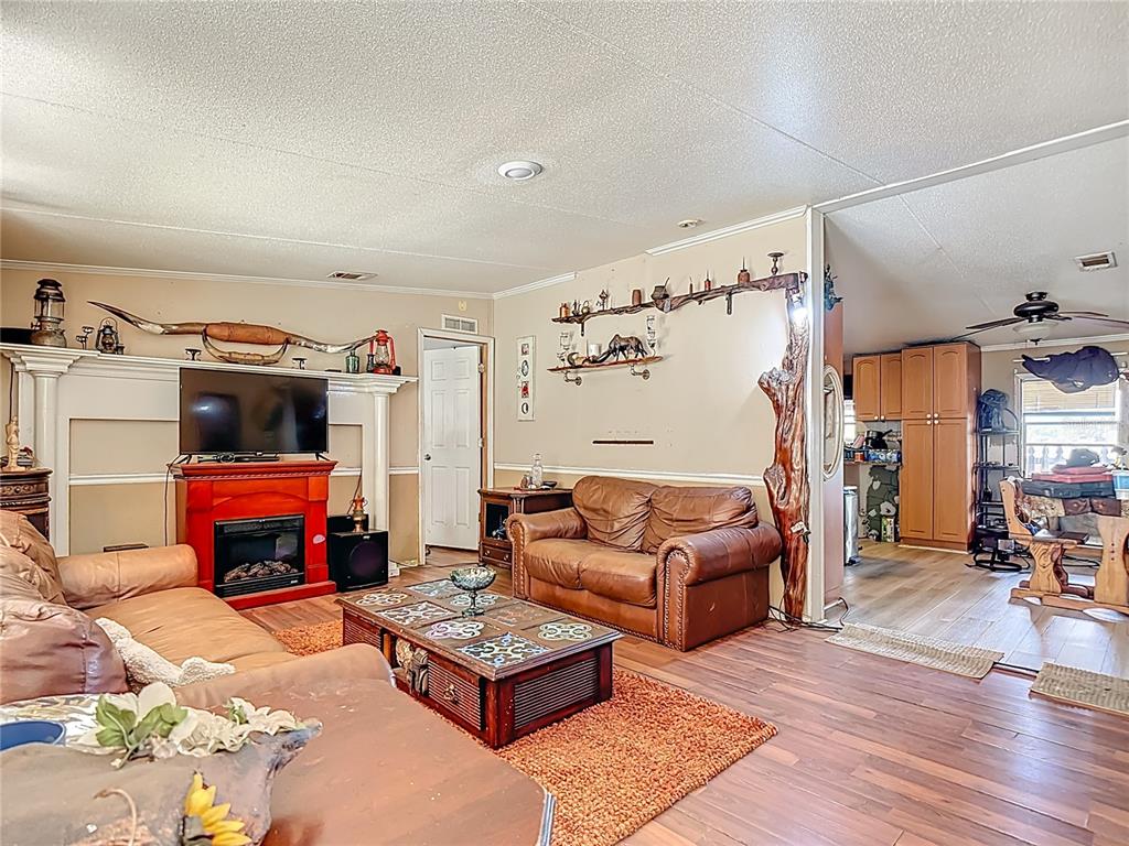 2346 Northwest Haile Dean Road Arcadia, FL 34266 - Photo 7 of 65