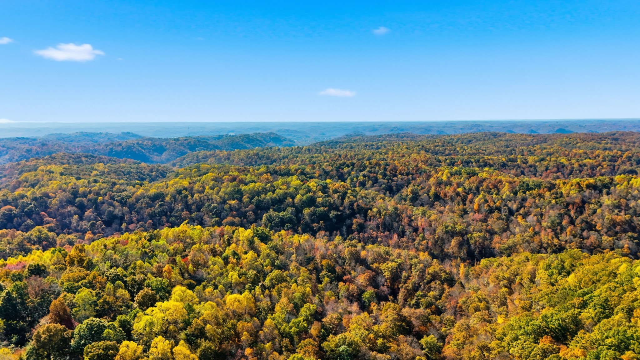4300 Bull Run Road Ashland City, TN 37015 - Photo 11 of 61 a view of a city