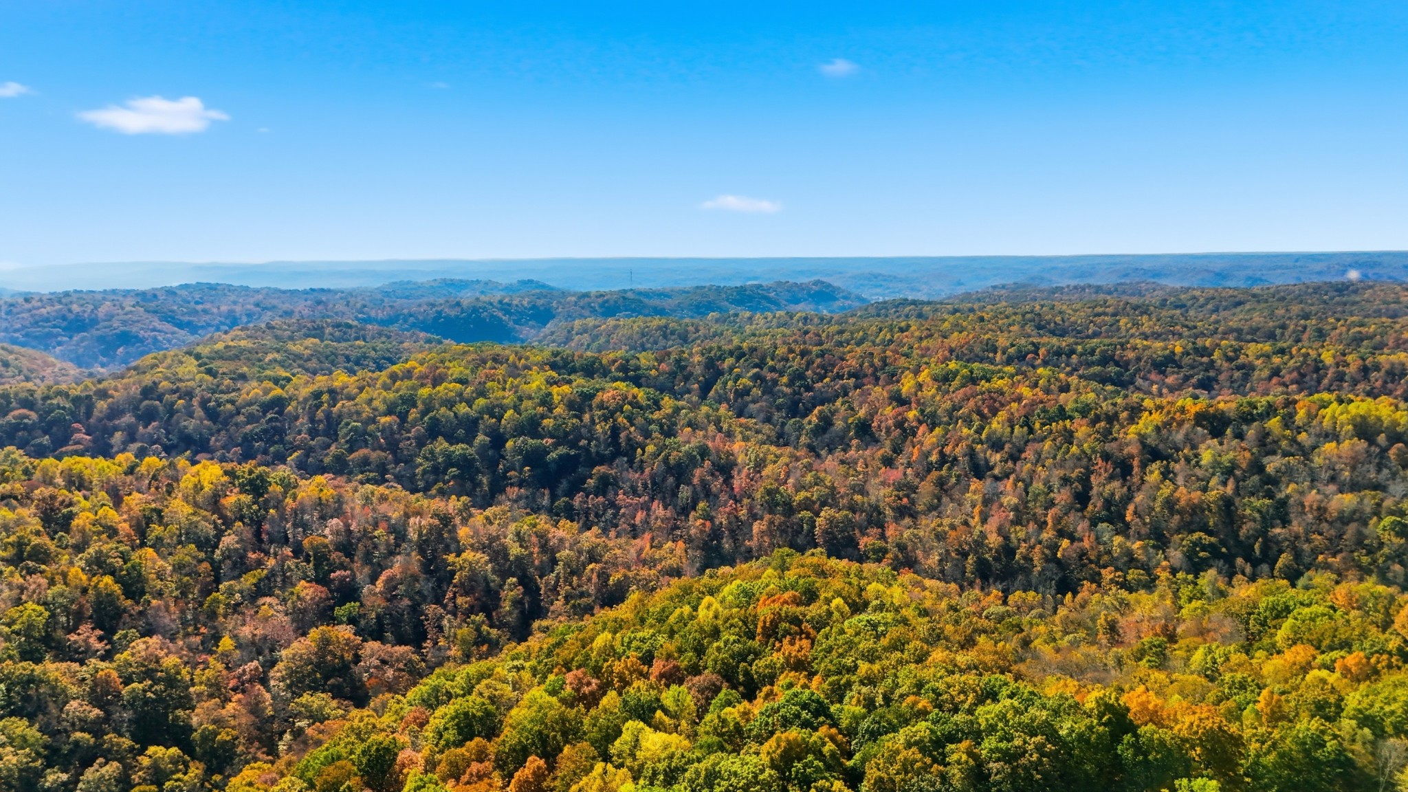 4300 Bull Run Road Ashland City, TN 37015 - Photo 12 of 61