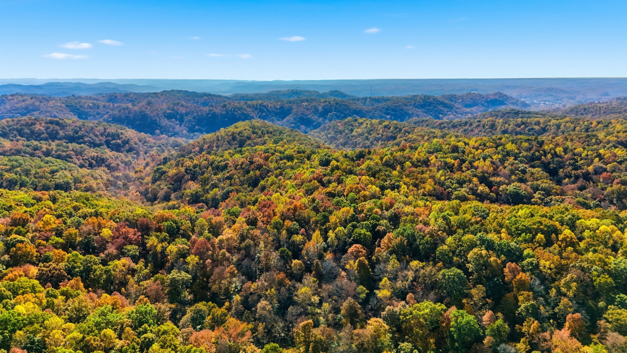 4300 Bull Run Road Ashland City, TN 37015 - Photo 13 of 61 a view of a city