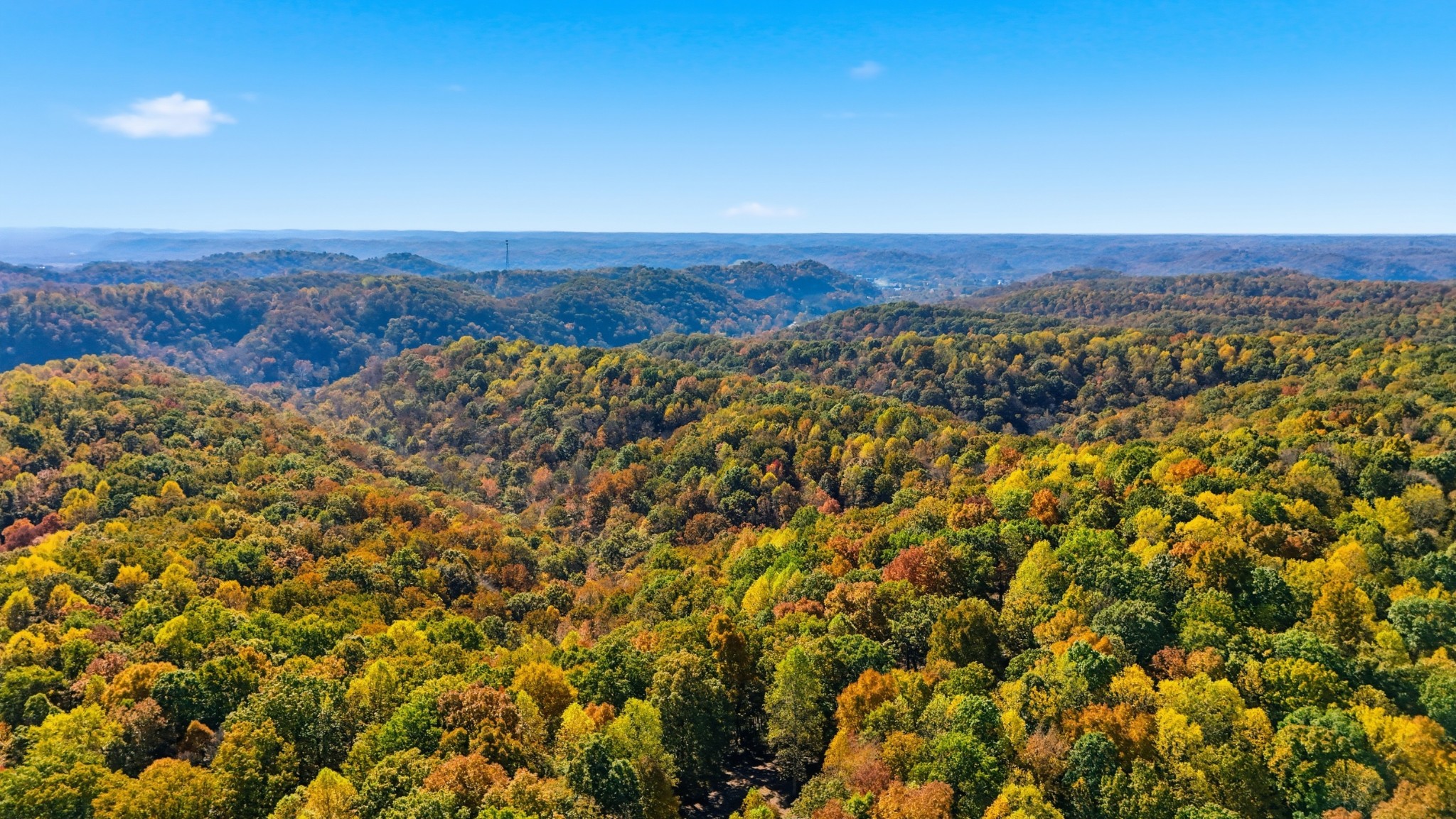 4300 Bull Run Road Ashland City, TN 37015 - Photo 14 of 61 an aerial view of houses covered in trees