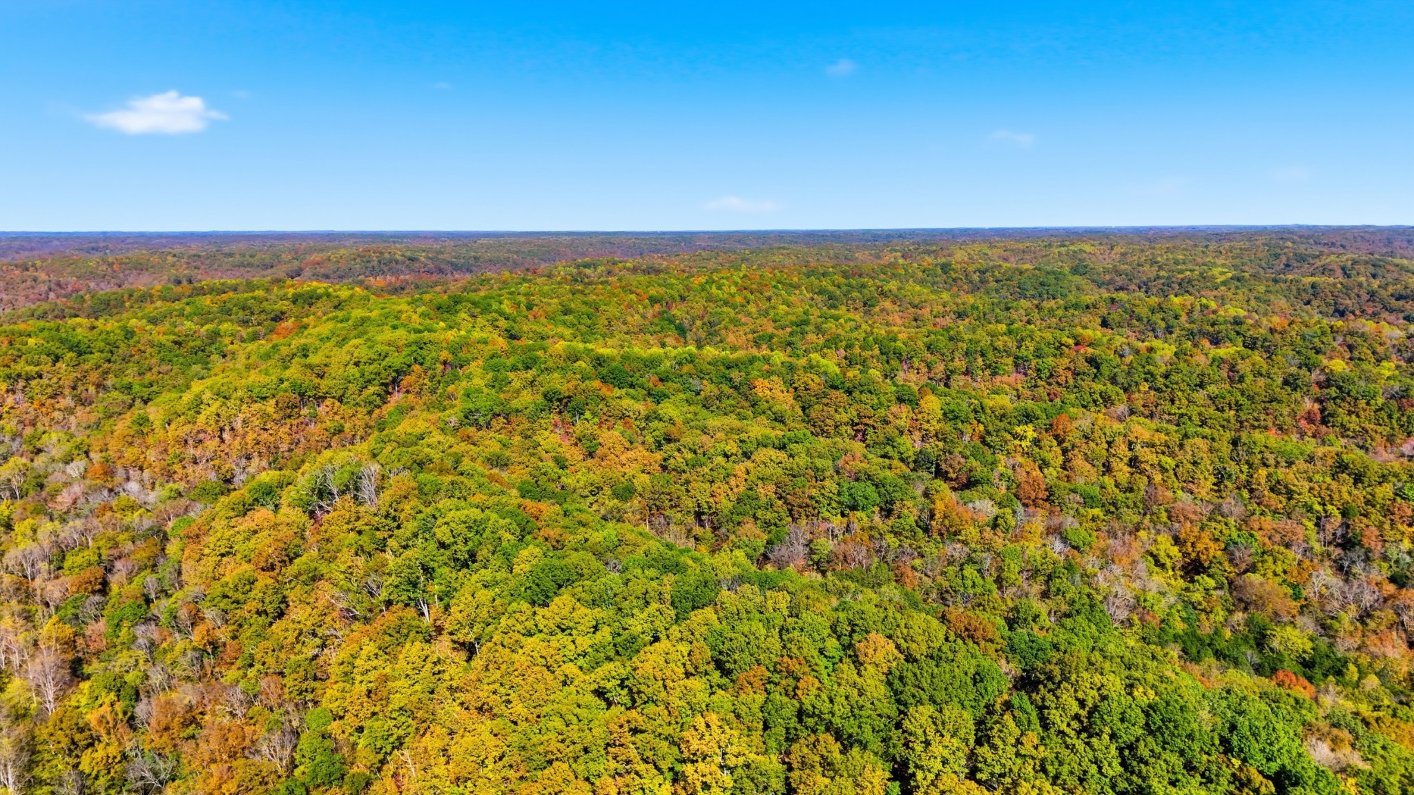 4300 Bull Run Road Ashland City, TN 37015 - Photo 19 of 61 a view of an ocean