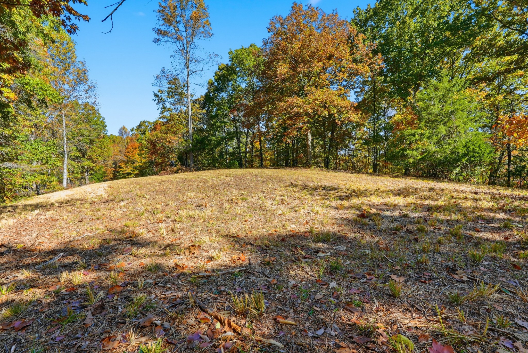 4300 Bull Run Road Ashland City, TN 37015 - Photo 22 of 61 a view of empty room with tree s