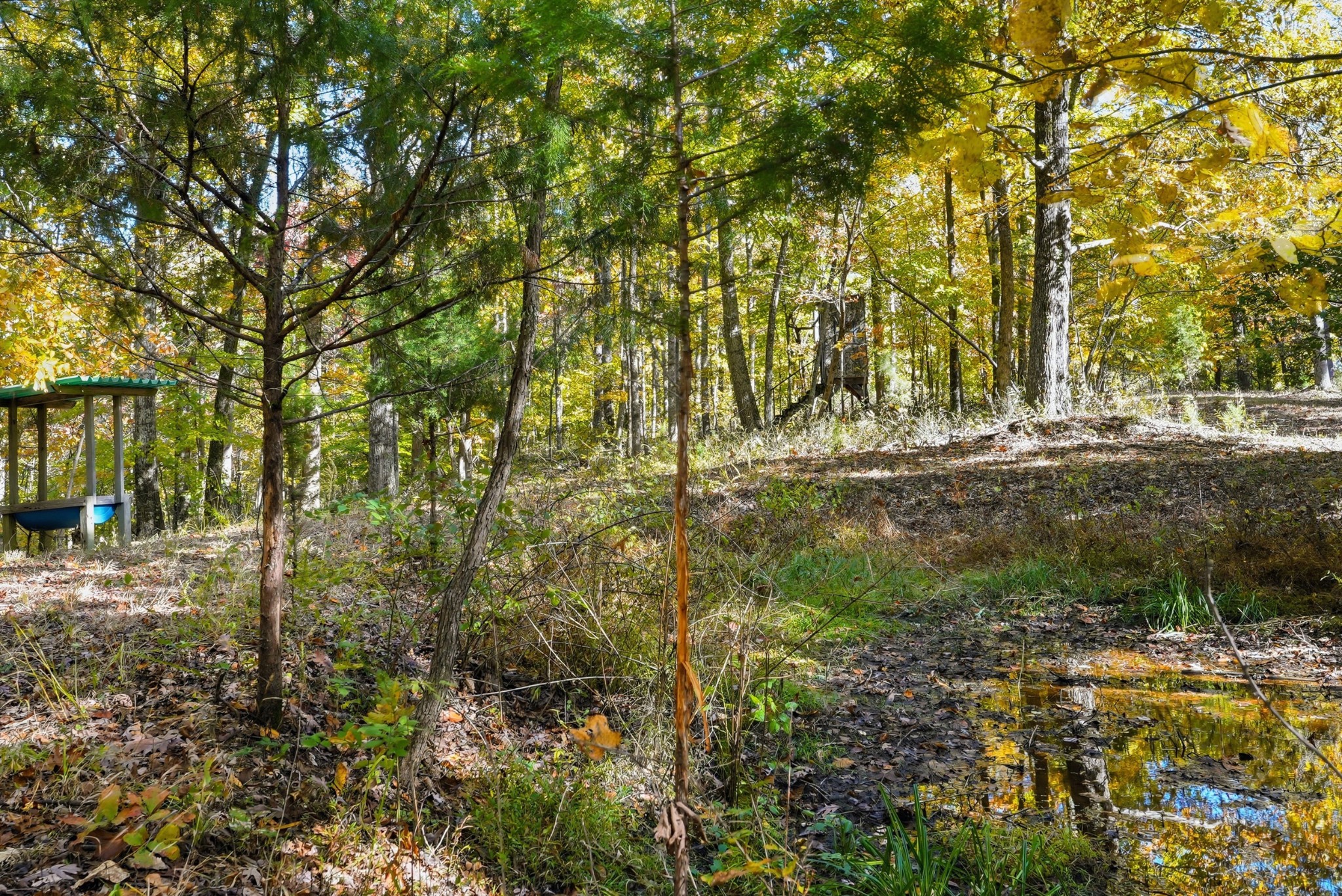4300 Bull Run Road Ashland City, TN 37015 - Photo 24 of 61 a view of a yard with plants and trees