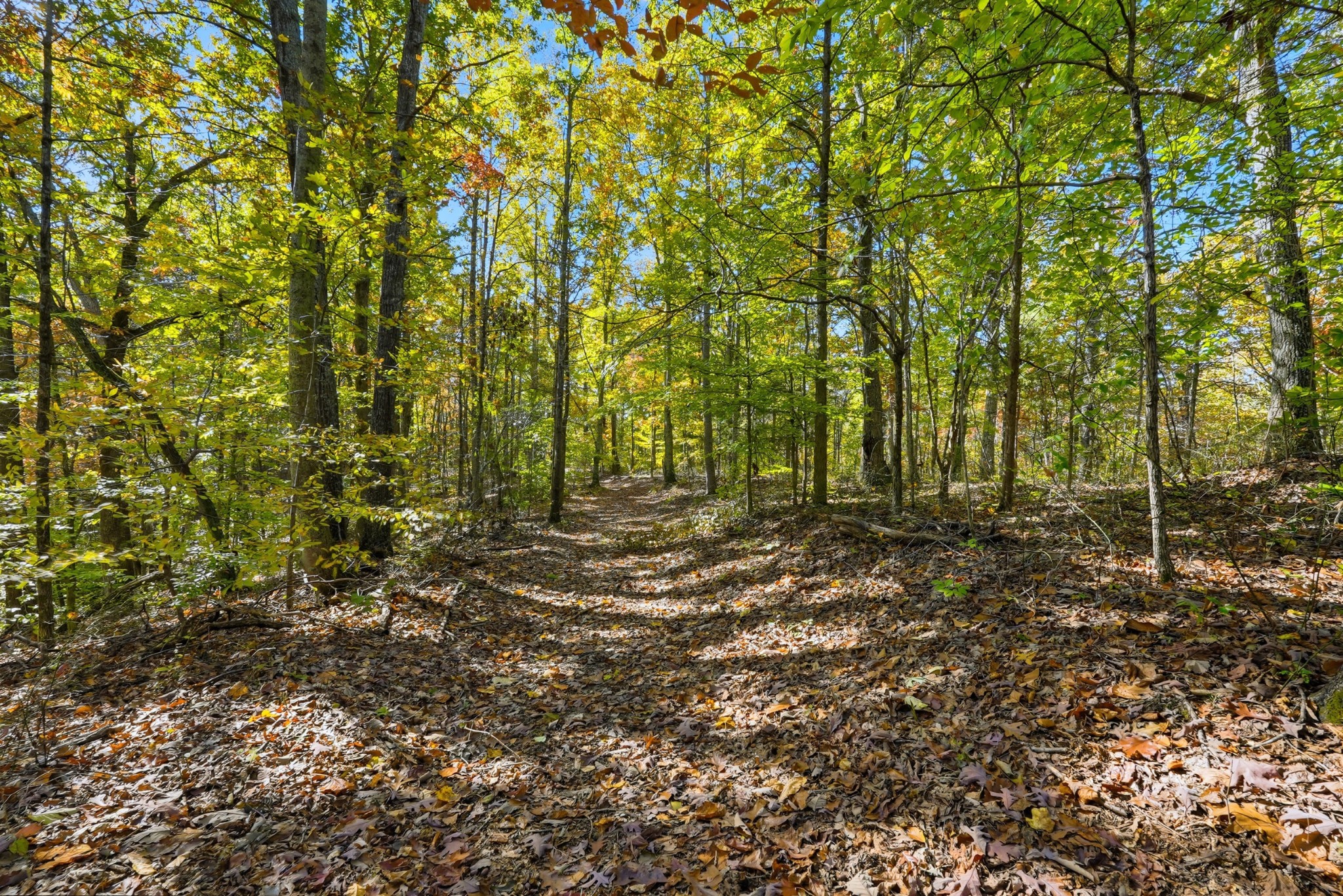 4300 Bull Run Road Ashland City, TN 37015 - Photo 25 of 61 a view of outdoor space and trees