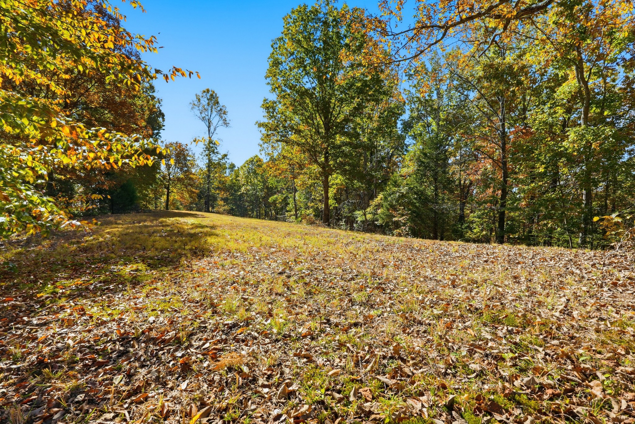 4300 Bull Run Road Ashland City, TN 37015 - Photo 30 of 61 a view of a yard with trees
