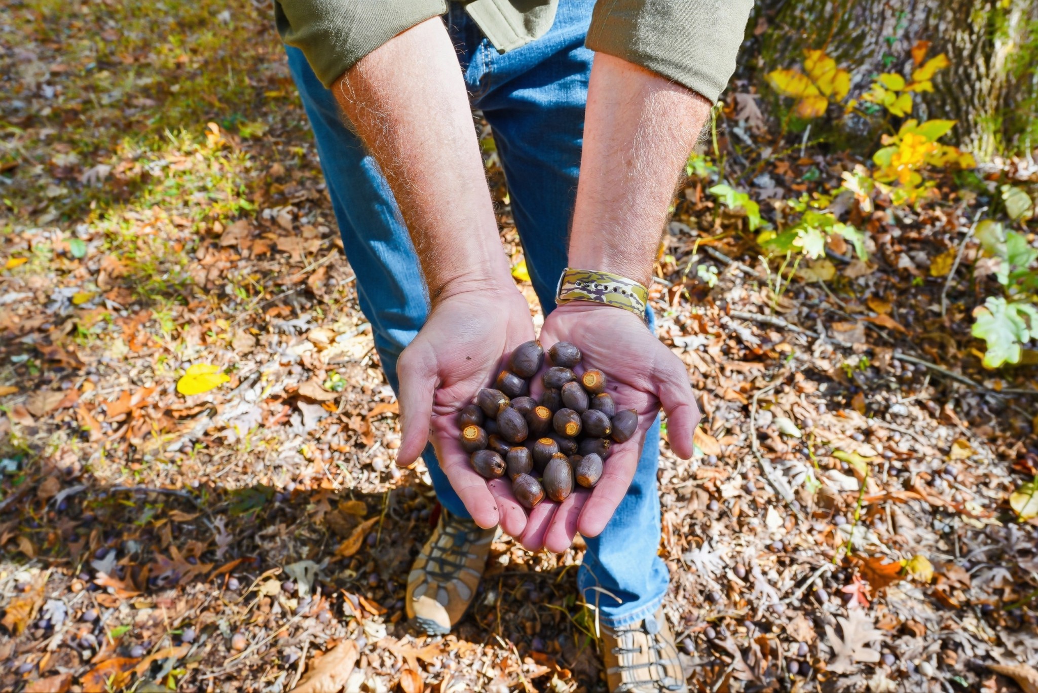 4300 Bull Run Road Ashland City, TN 37015 - Photo 33 of 61 a view of entryway