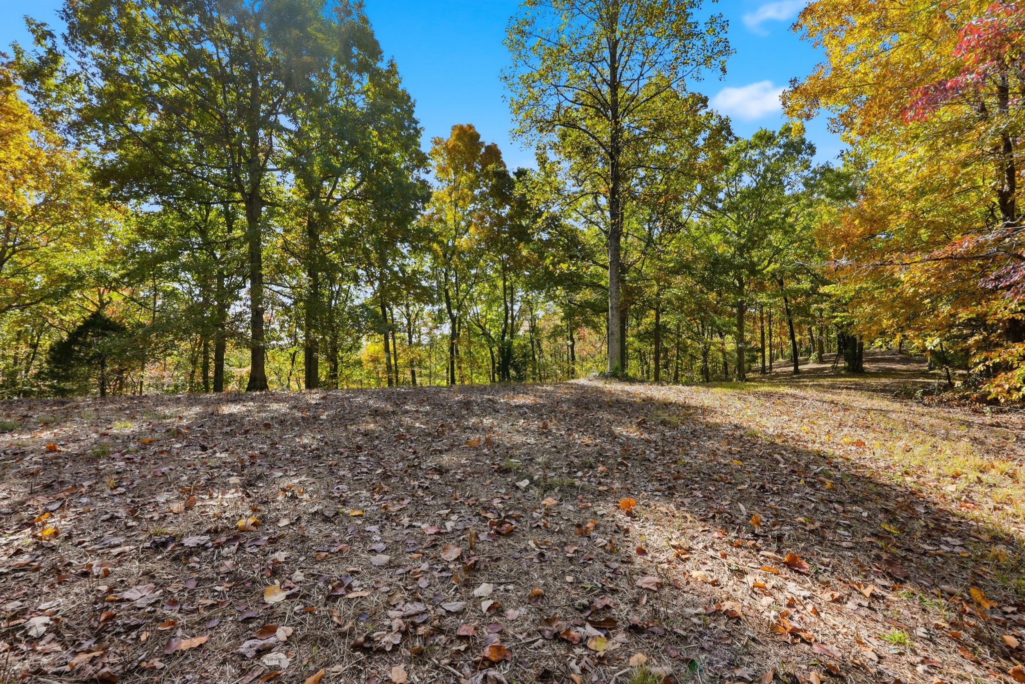 4300 Bull Run Road Ashland City, TN 37015 - Photo 35 of 61 a view of dirt yard with a trees
