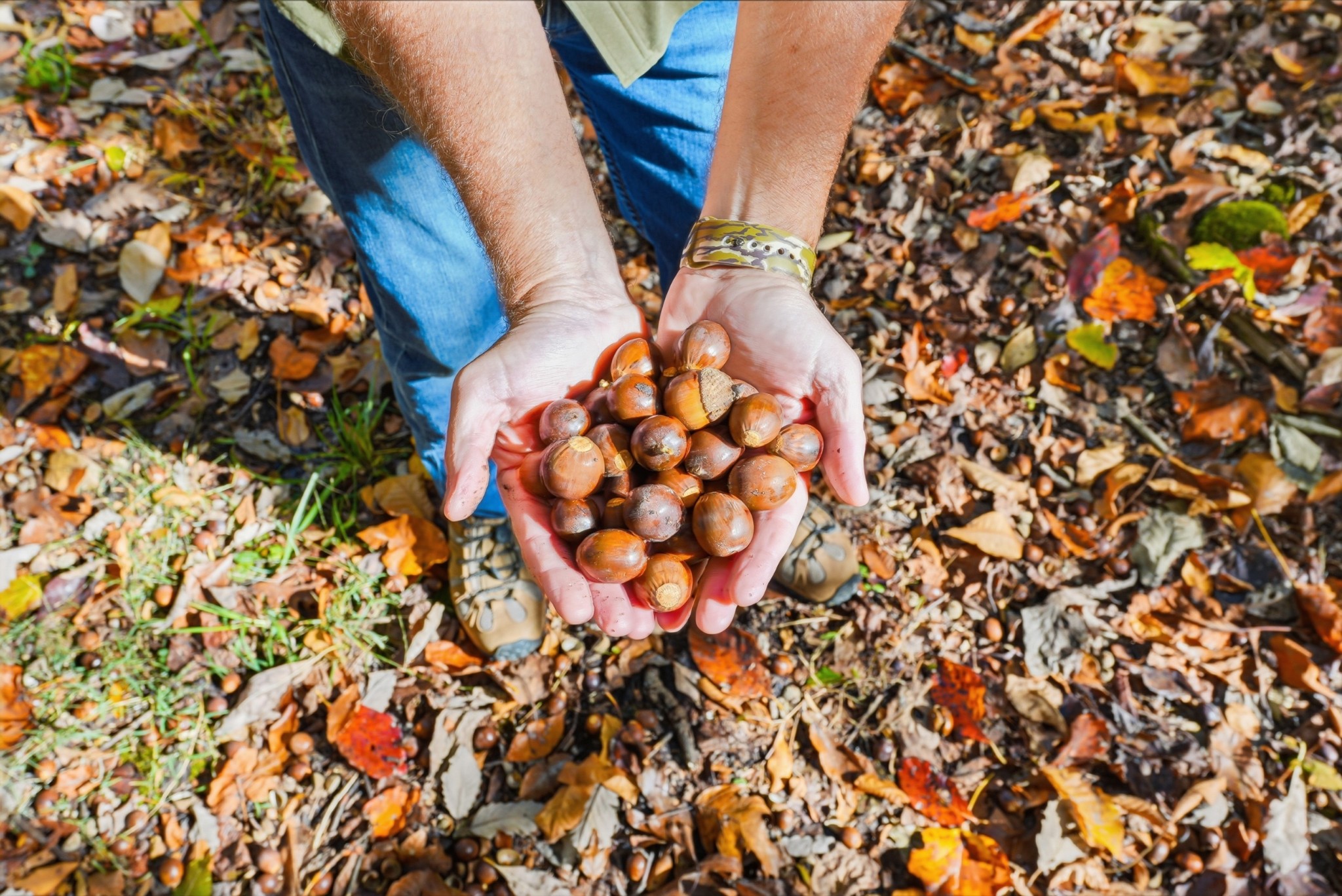 4300 Bull Run Road Ashland City, TN 37015 - Photo 37 of 61