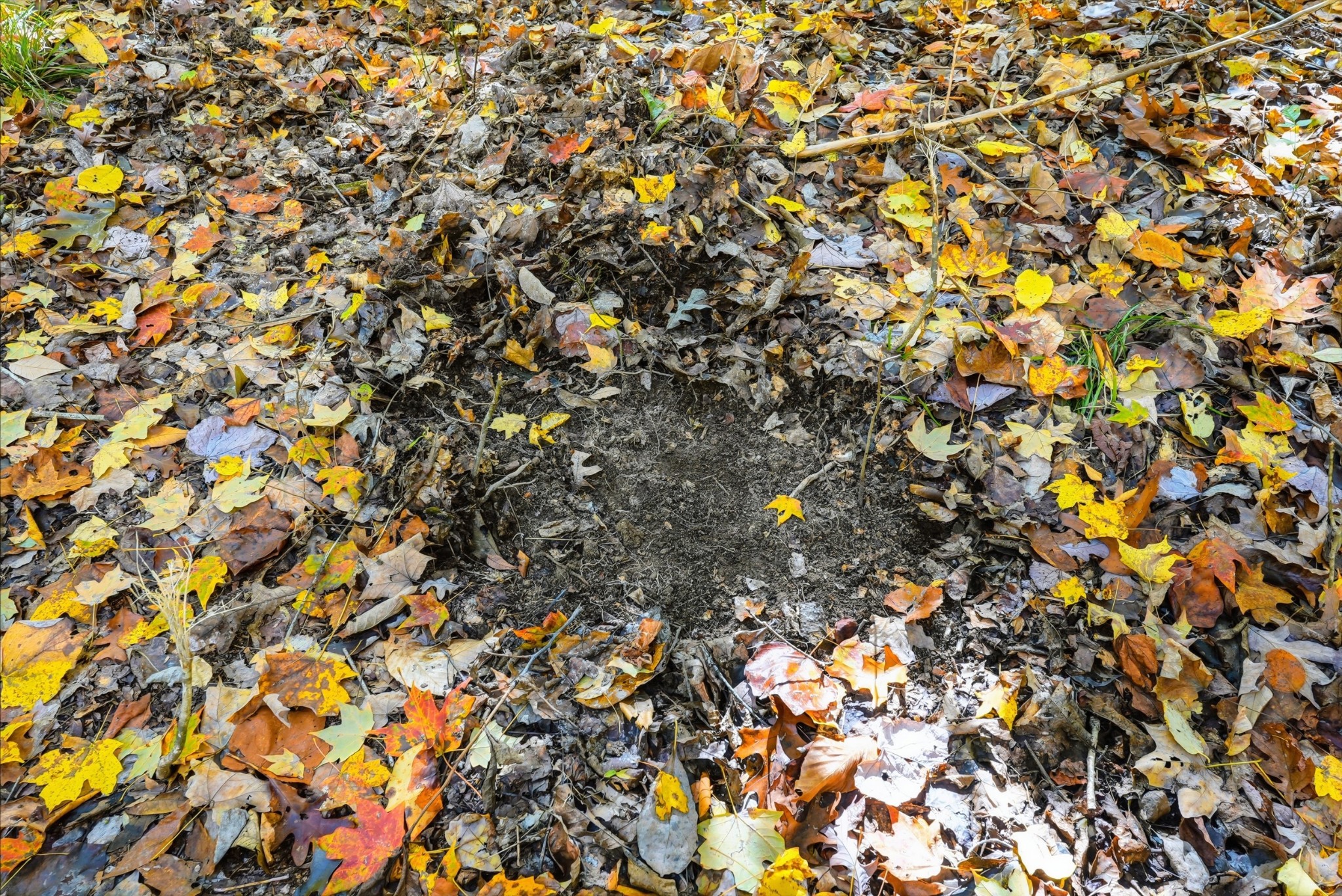 4300 Bull Run Road Ashland City, TN 37015 - Photo 39 of 61