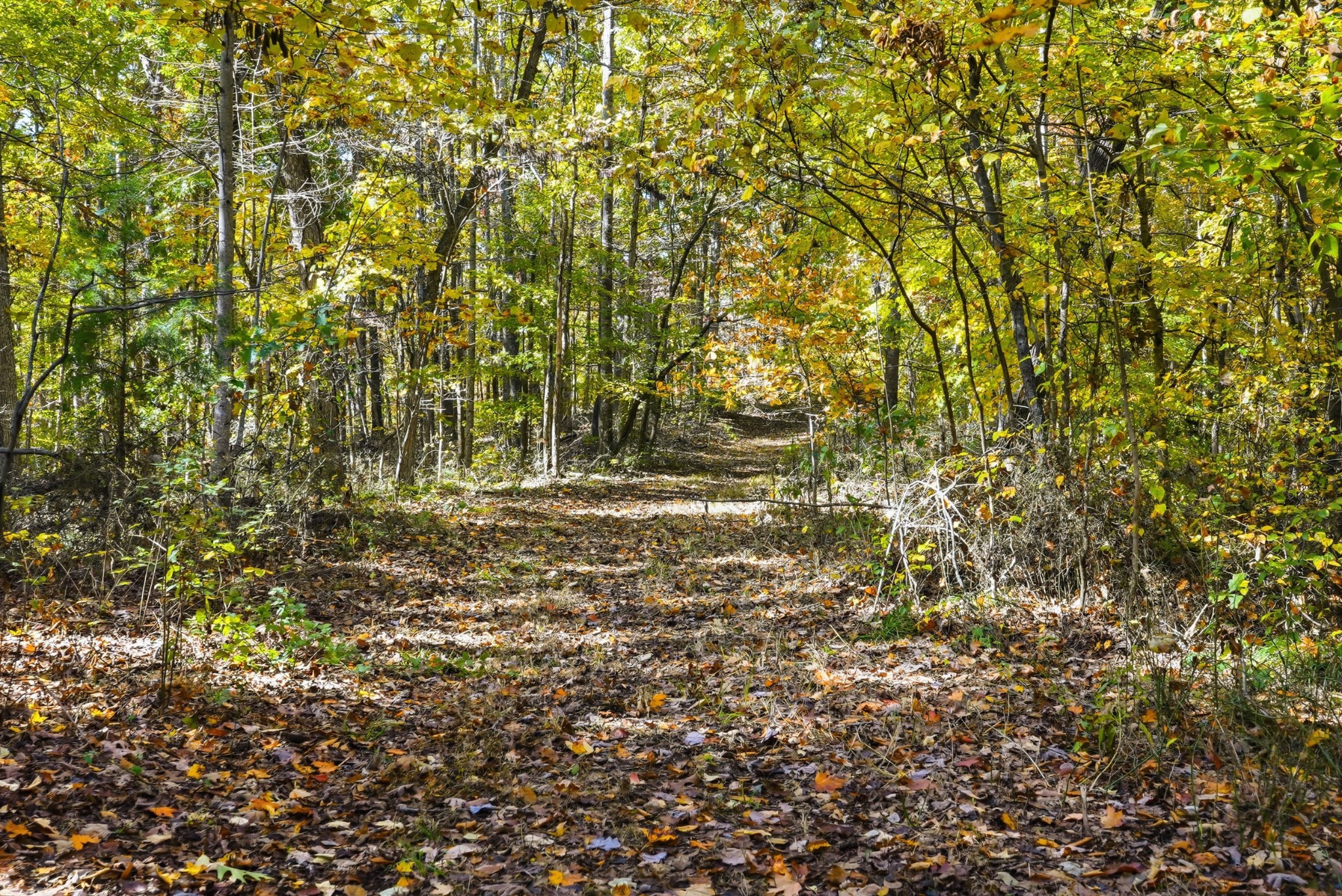4300 Bull Run Road Ashland City, TN 37015 - Photo 42 of 61 a view of outdoor space and a yard