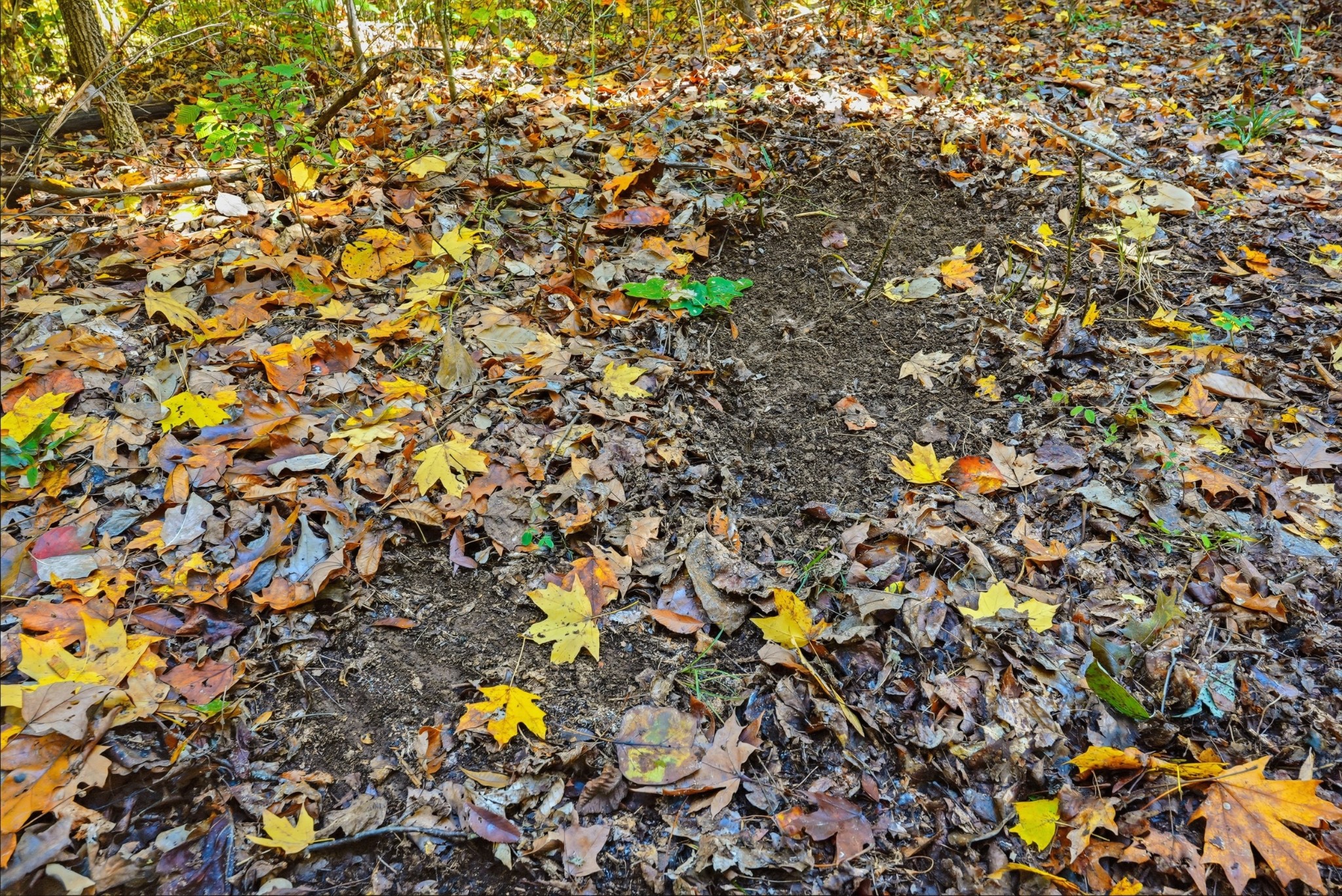 4300 Bull Run Road Ashland City, TN 37015 - Photo 44 of 61