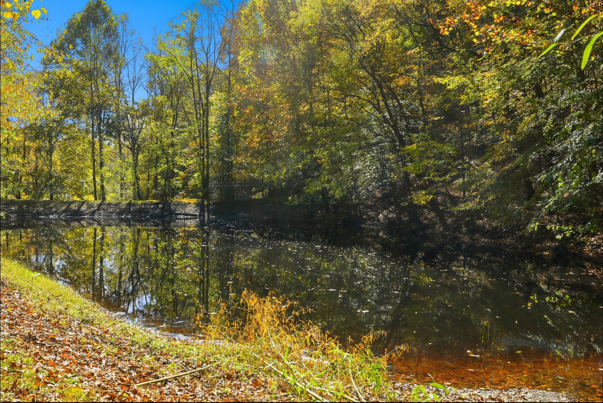 4300 Bull Run Road Ashland City, TN 37015 - Photo 48 of 61 a view of lake view