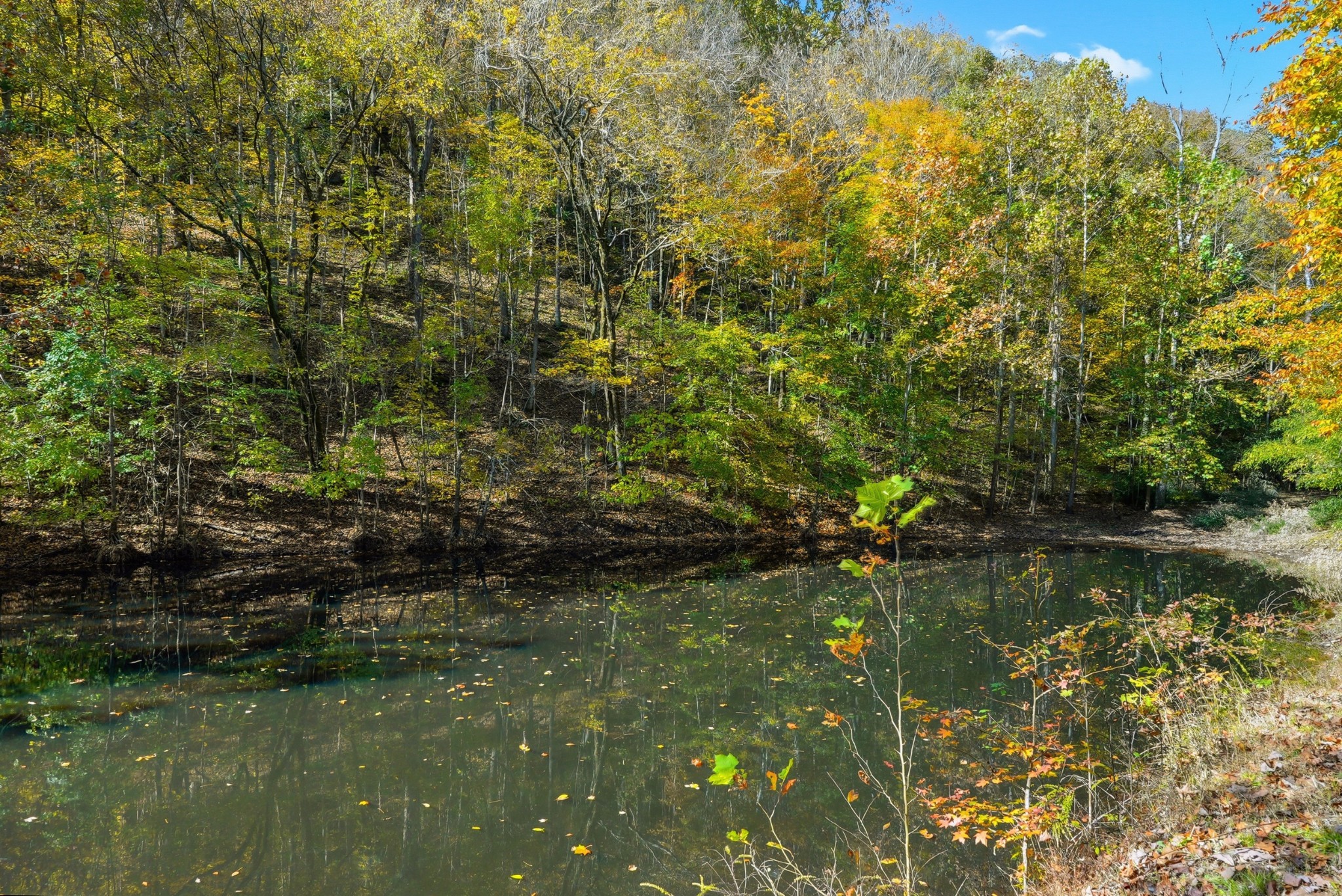 4300 Bull Run Road Ashland City, TN 37015 - Photo 49 of 61 a view of lake
