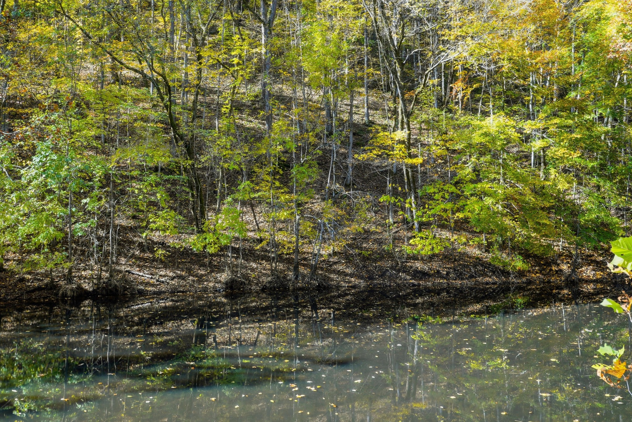 4300 Bull Run Road Ashland City, TN 37015 - Photo 50 of 61 a view of lake view