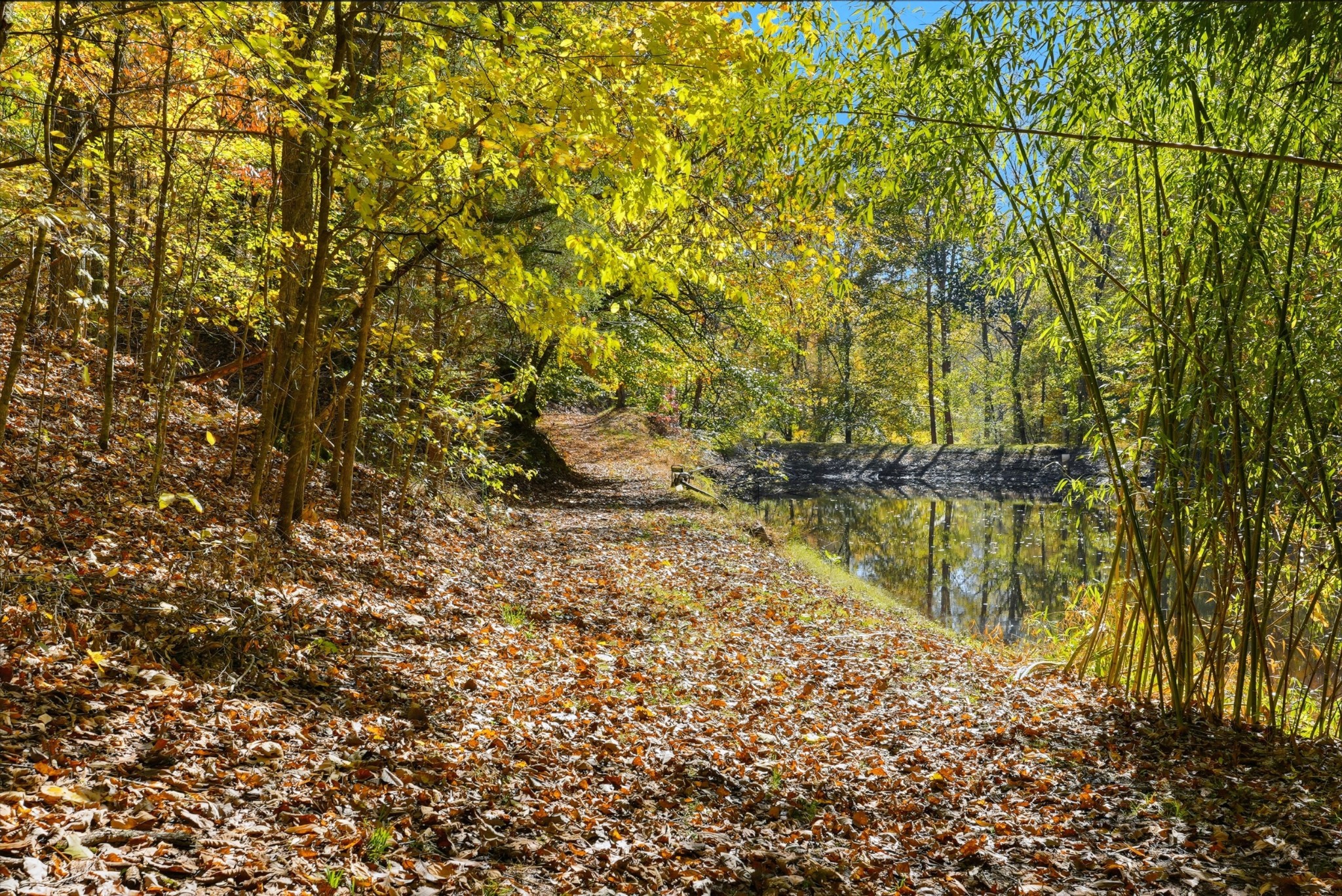 4300 Bull Run Road Ashland City, TN 37015 - Photo 51 of 61