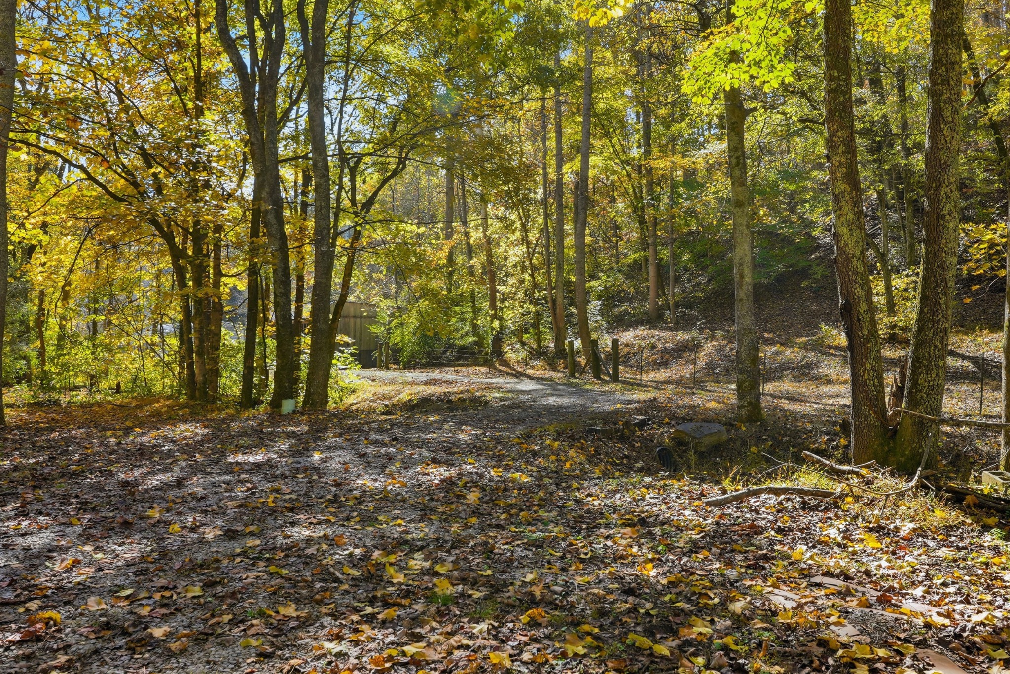 4300 Bull Run Road Ashland City, TN 37015 - Photo 54 of 61 a view of outdoor space and yard