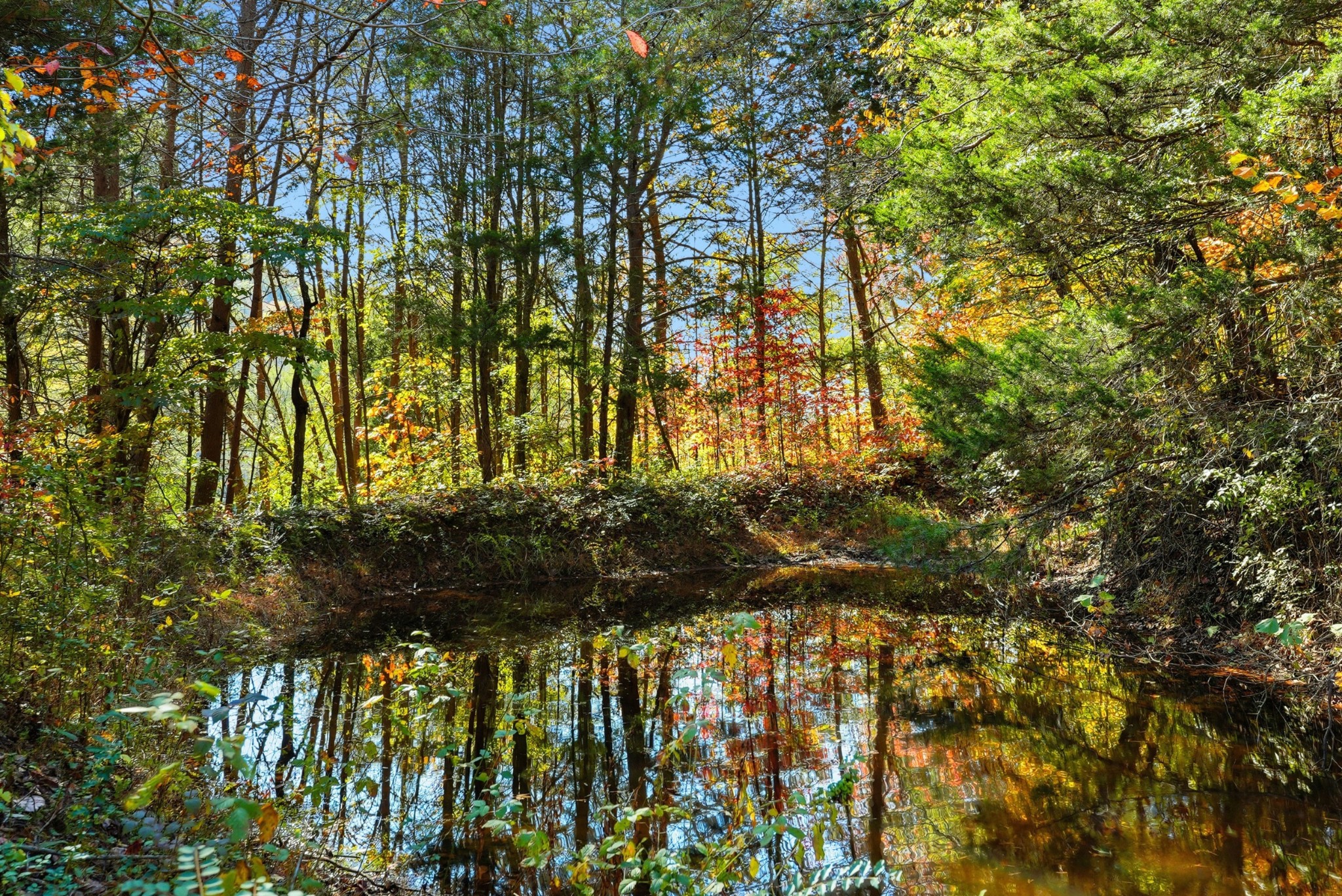 4300 Bull Run Road Ashland City, TN 37015 - Photo 55 of 61