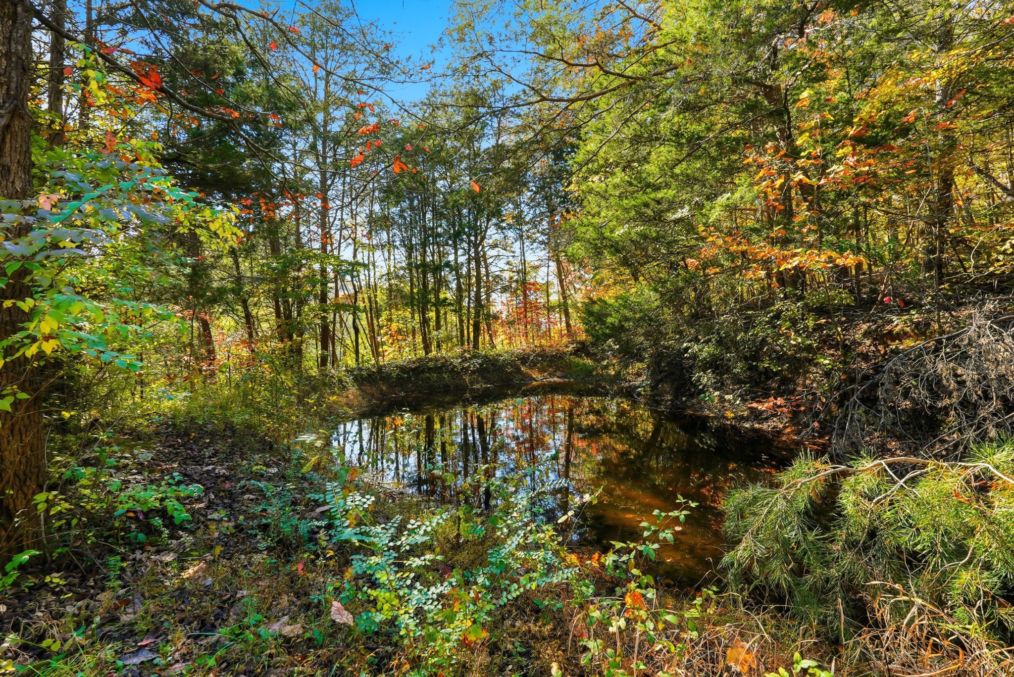 4300 Bull Run Road Ashland City, TN 37015 - Photo 56 of 61