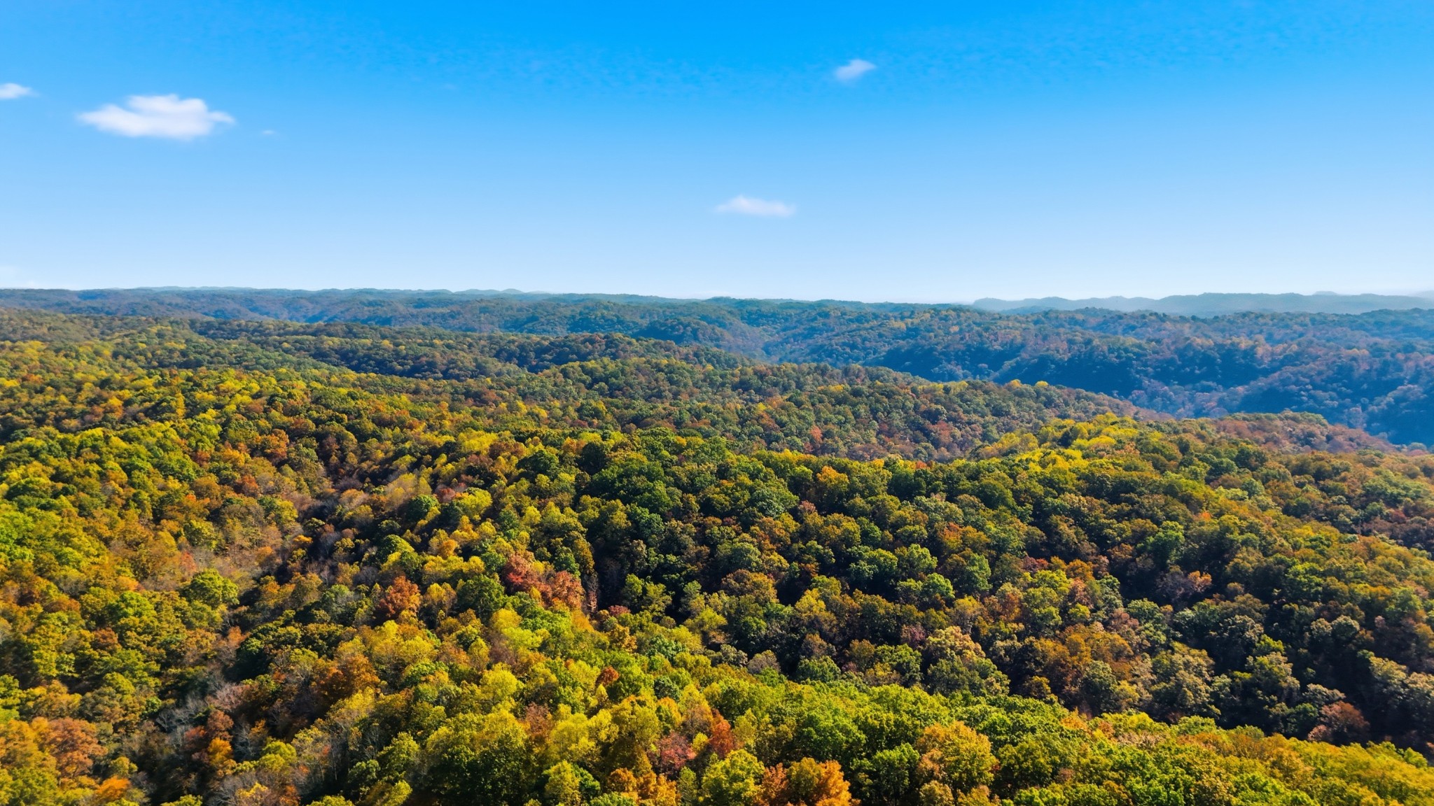 4300 Bull Run Road Ashland City, TN 37015 - Photo 6 of 61 a view of a city