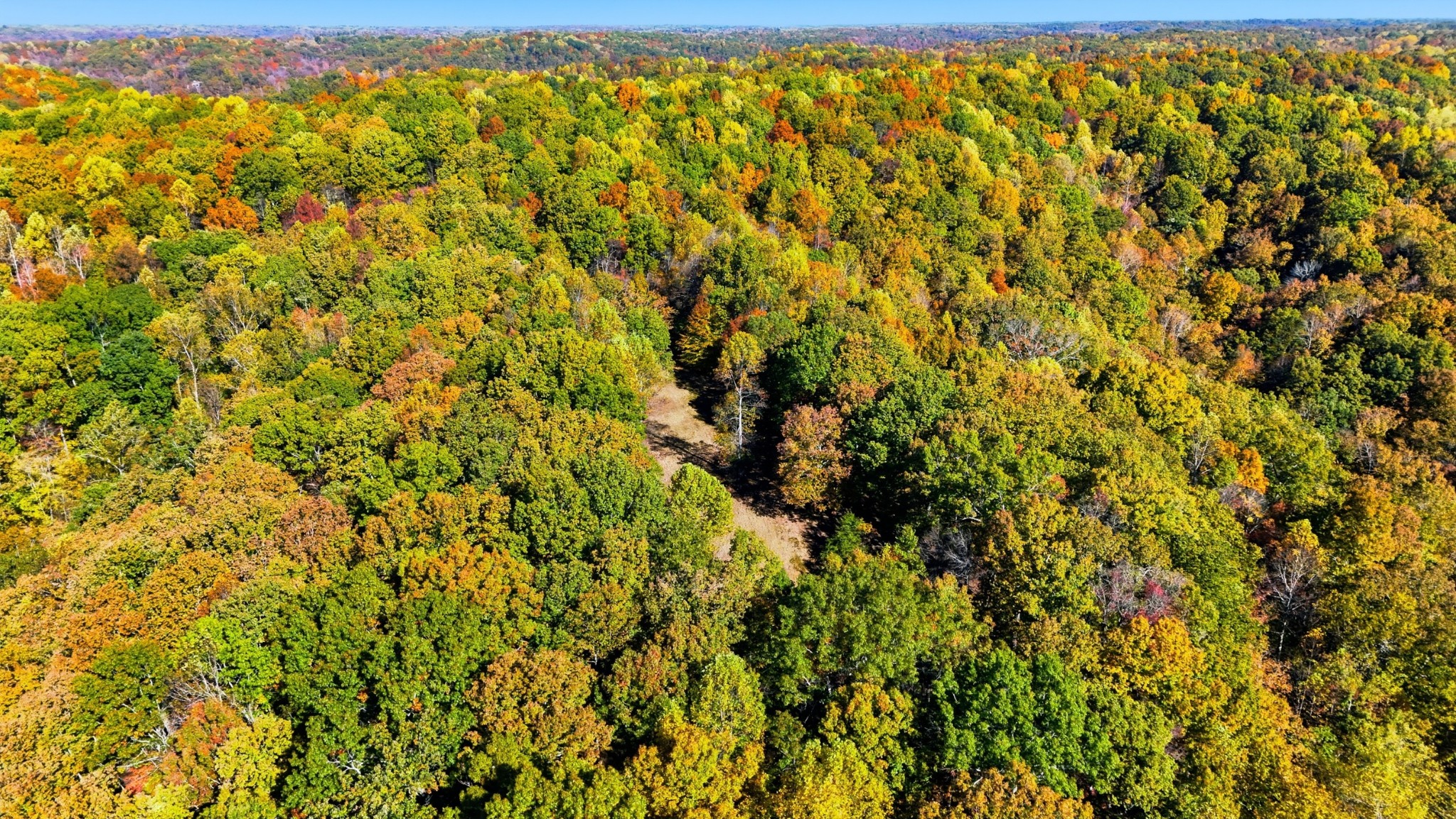 4300 Bull Run Road Ashland City, TN 37015 - Photo 9 of 61