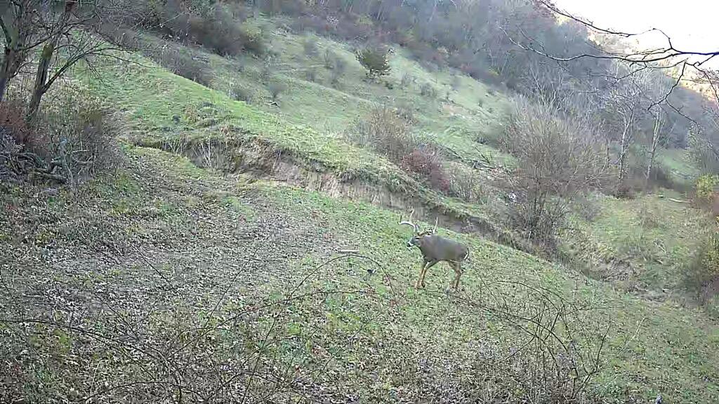 Lot 1 Acres County Road Boscobel, WI 53805 - Photo 1 of 26 1000096953