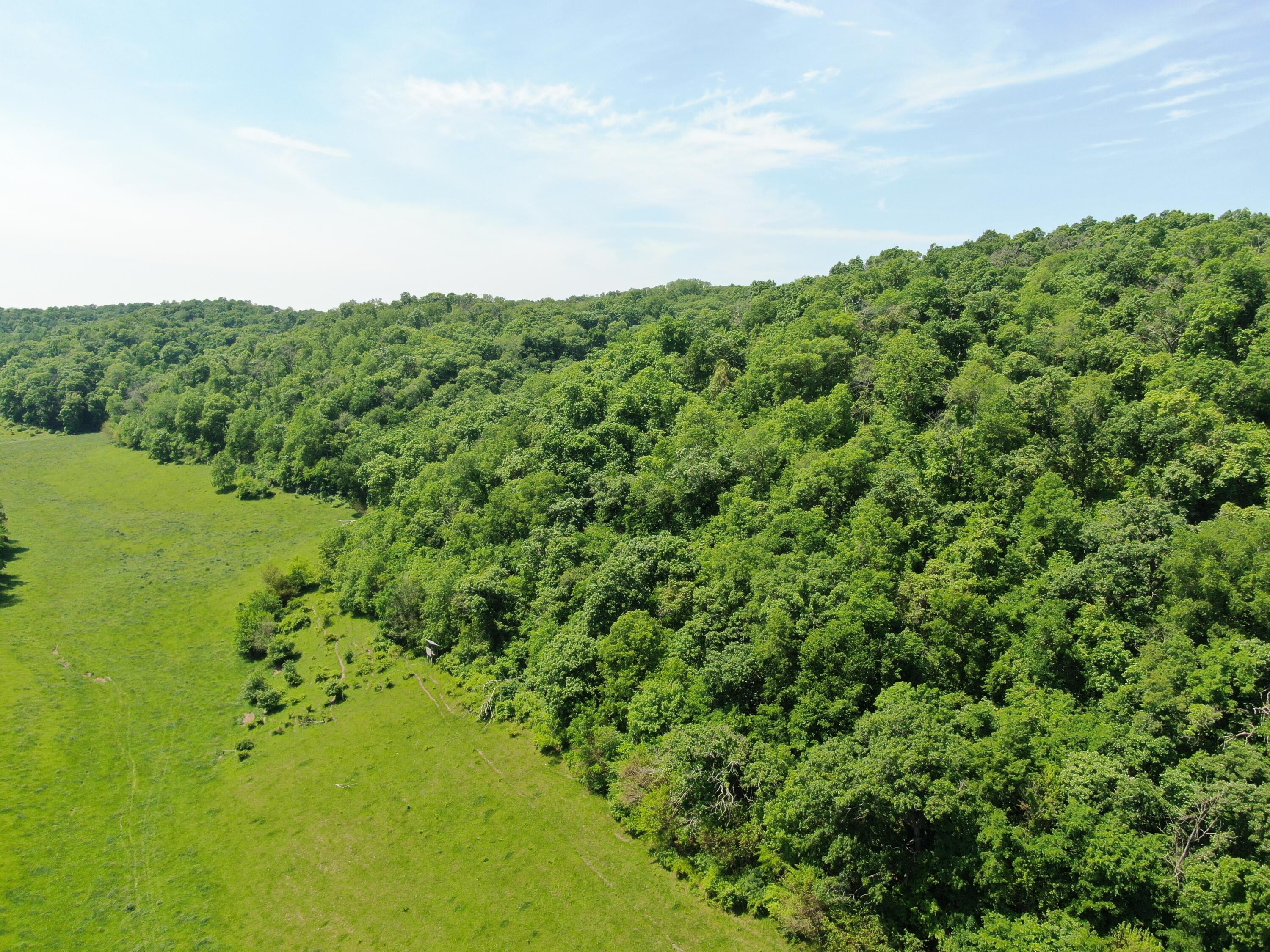Lot 1 Acres County Road Boscobel, WI 53805 - Photo 15 of 26 DJI_0033