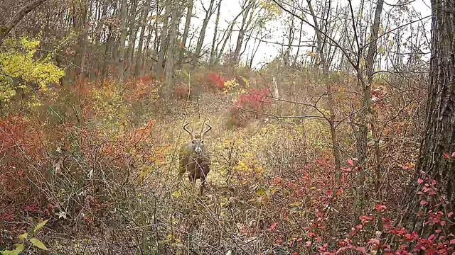 $2,300,000 | Lot 1 Acres County Road, Boscobel, WI 53805