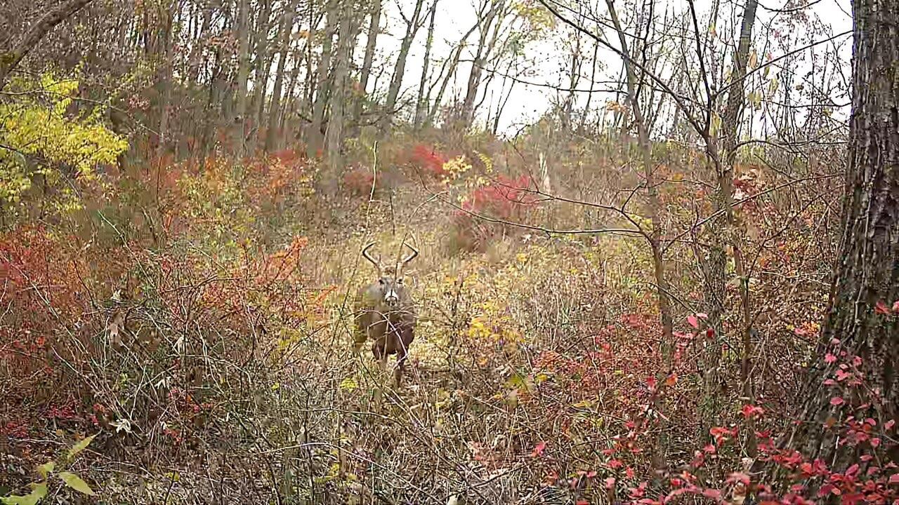 Lot 1 Acres County Road Boscobel, WI 53805 - Photo 23 of 26 1000096949