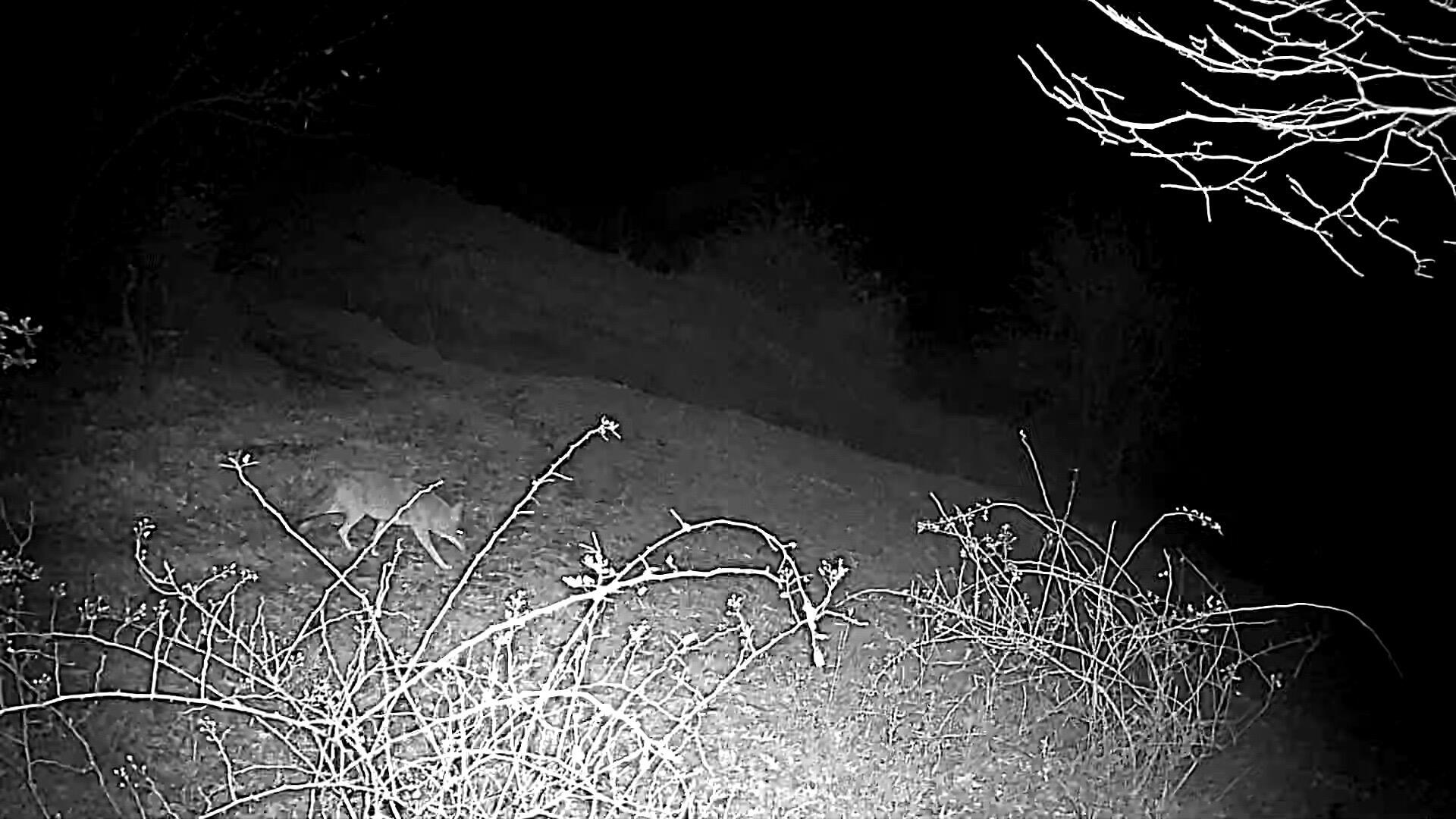 Lot 1 Acres County Road Boscobel, WI 53805 - Photo 24 of 26 1000096950