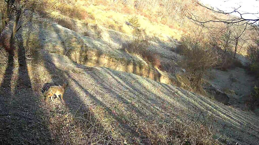 Lot 1 Acres County Road Boscobel, WI 53805 - Photo 25 of 26 1000096952