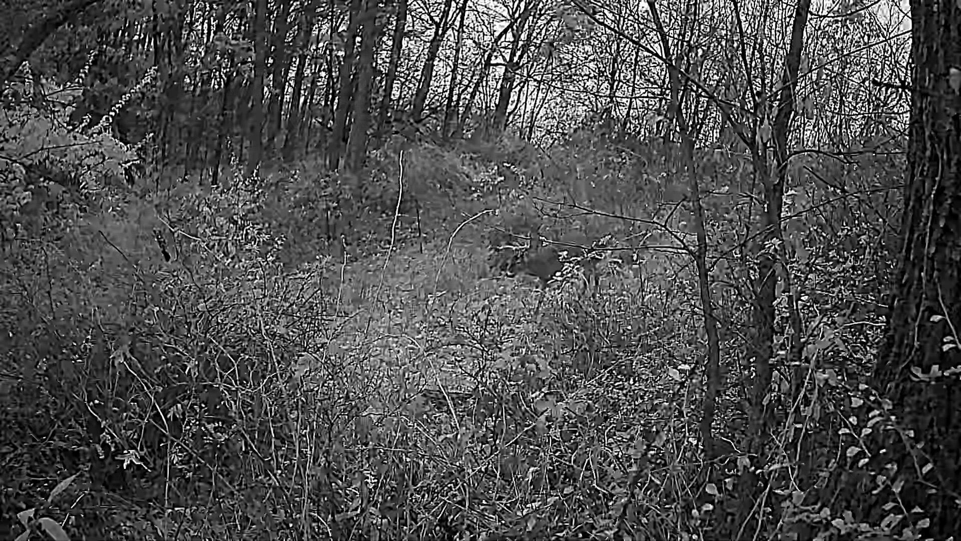 Lot 1 Acres County Road Boscobel, WI 53805 - Photo 26 of 26 1000096954