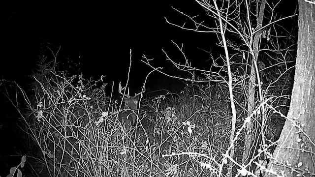 $2,300,000 | Lot 1 Acres County Road, Boscobel, WI 53805