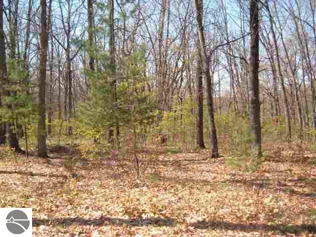 3306 Shady Shores Road Lupton, MI 48635 - Photo 9 of 25 1756265-8.JPG
