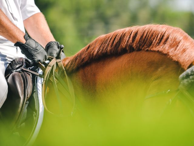 $1,500,000 | 1544 Eastover Road, Lebanon, TN 37090