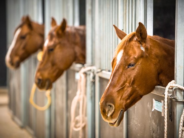 $1,500,000 | 1544 Eastover Road, Lebanon, TN 37090