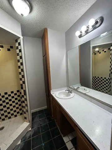 a bathroom with a sink a toilet a mirror and shower
