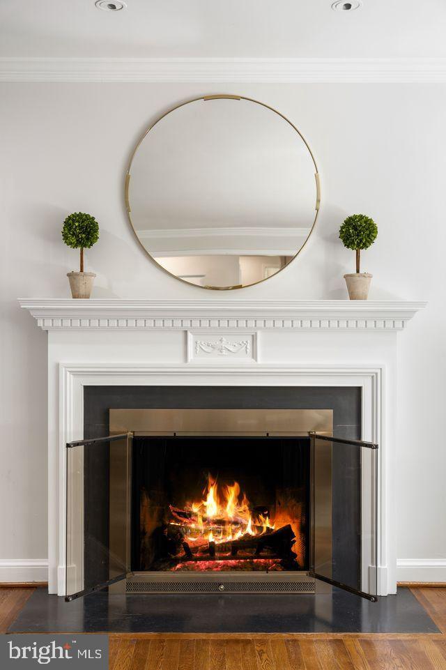 4555 W Street Northwest Washington, DC 20007 - Photo 10 of 34 a view of fireplace with potted plant in it