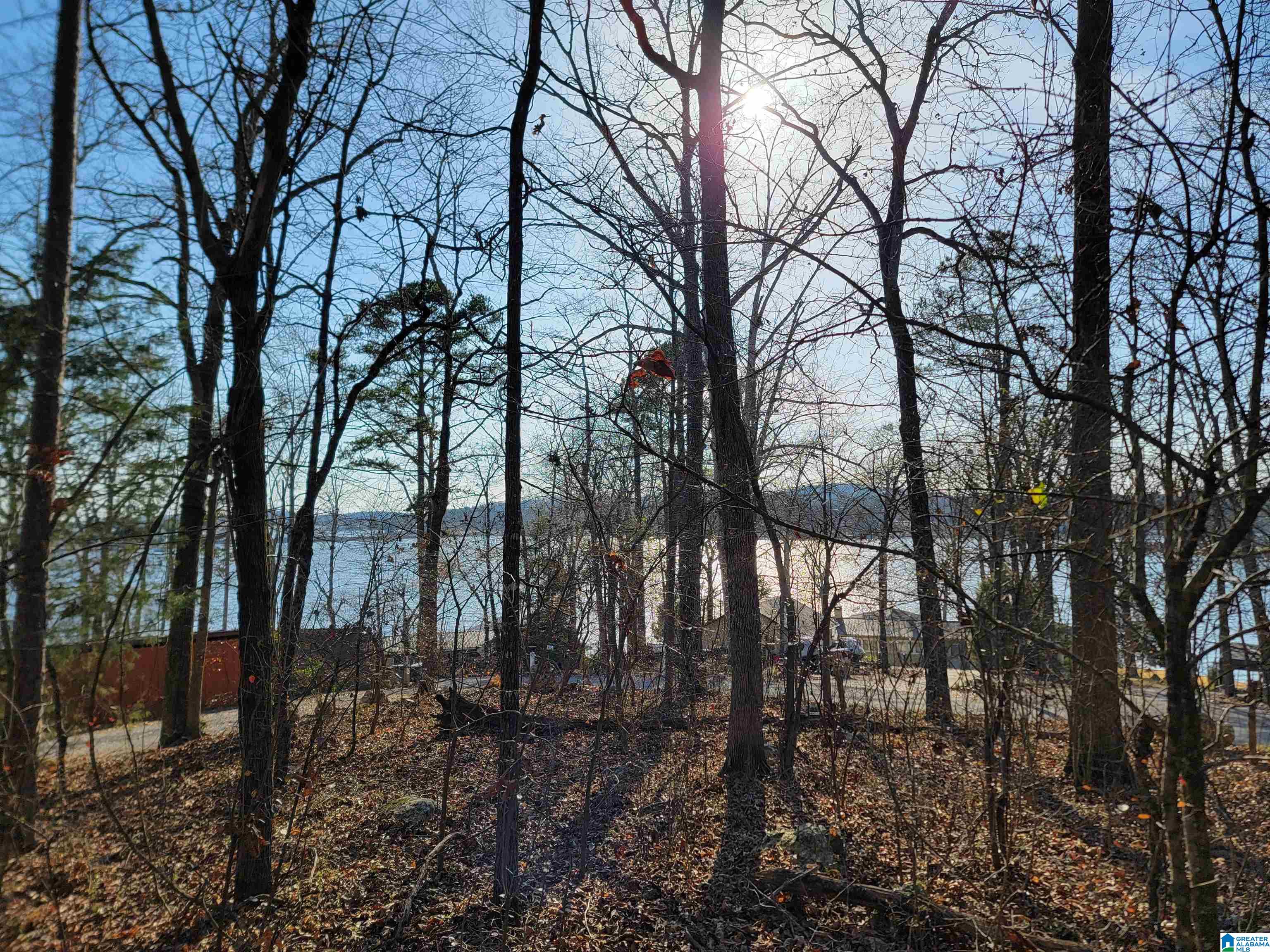 0 Clearwater Point Road, Unit 5 Cropwell, AL 35054 - Photo 4 of 15